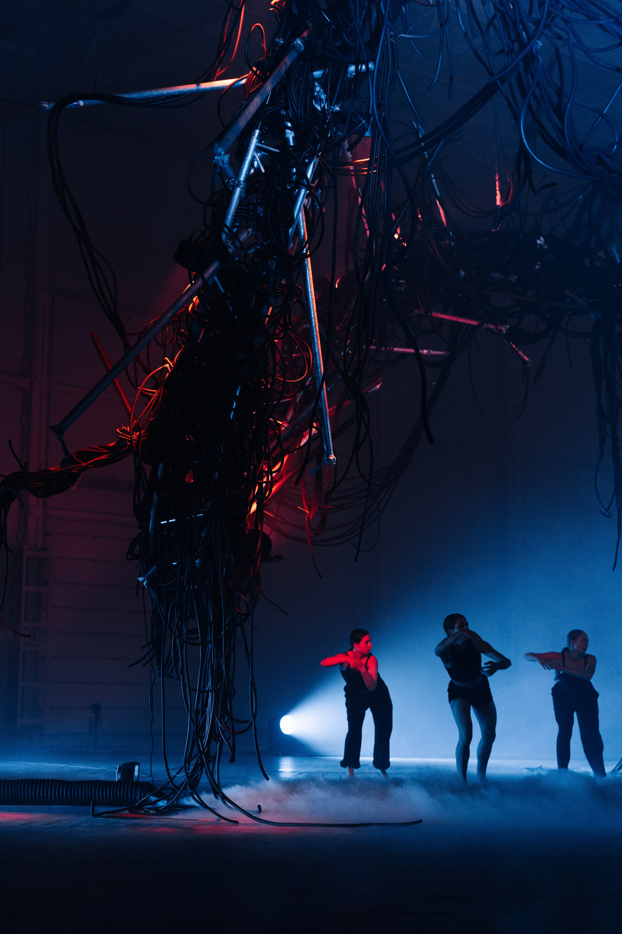 PERFORMA, The Hour of the Horse. @tomrus: Рустам Шагиморданов — фотограф