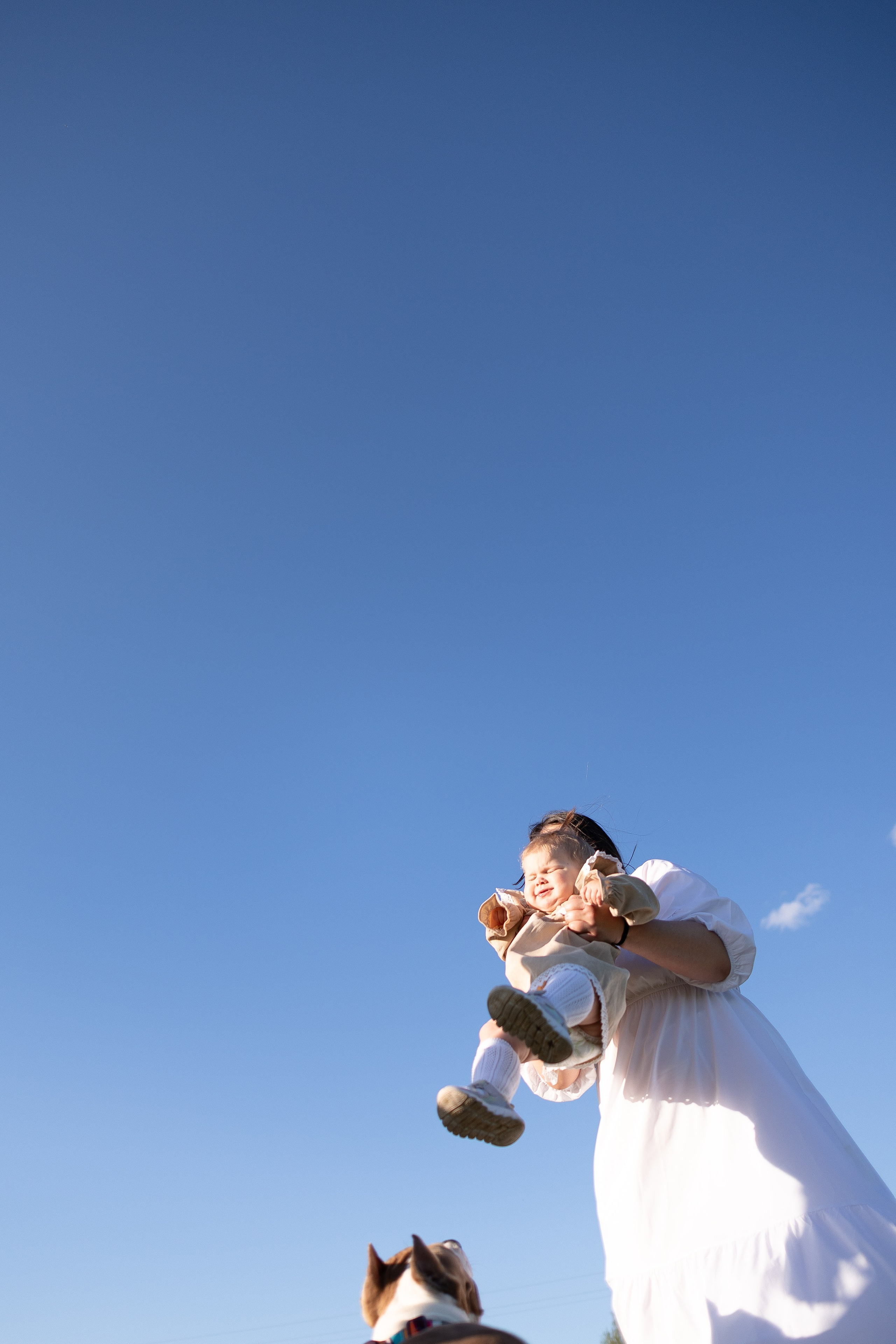 Шуня и ее семья. Фотограф и видеограф анималист Аганина Дарья