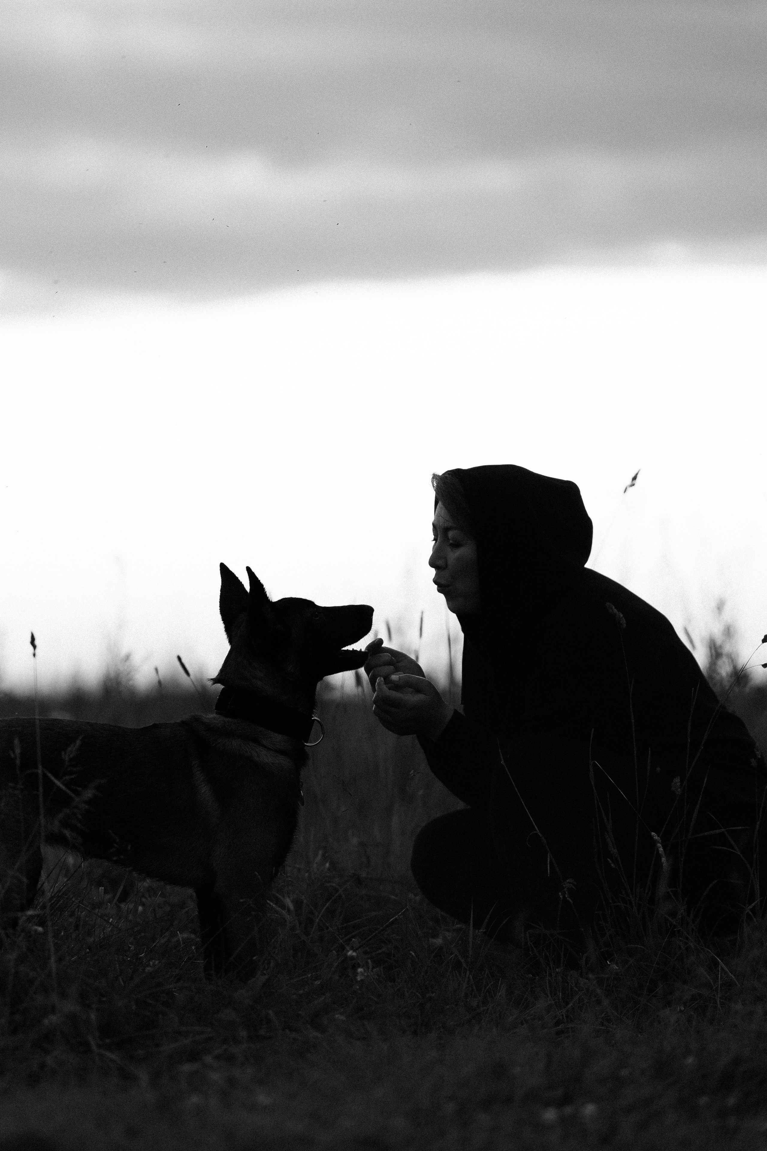 Галина и Лоя. Фотограф и видеограф анималист Аганина Дарья