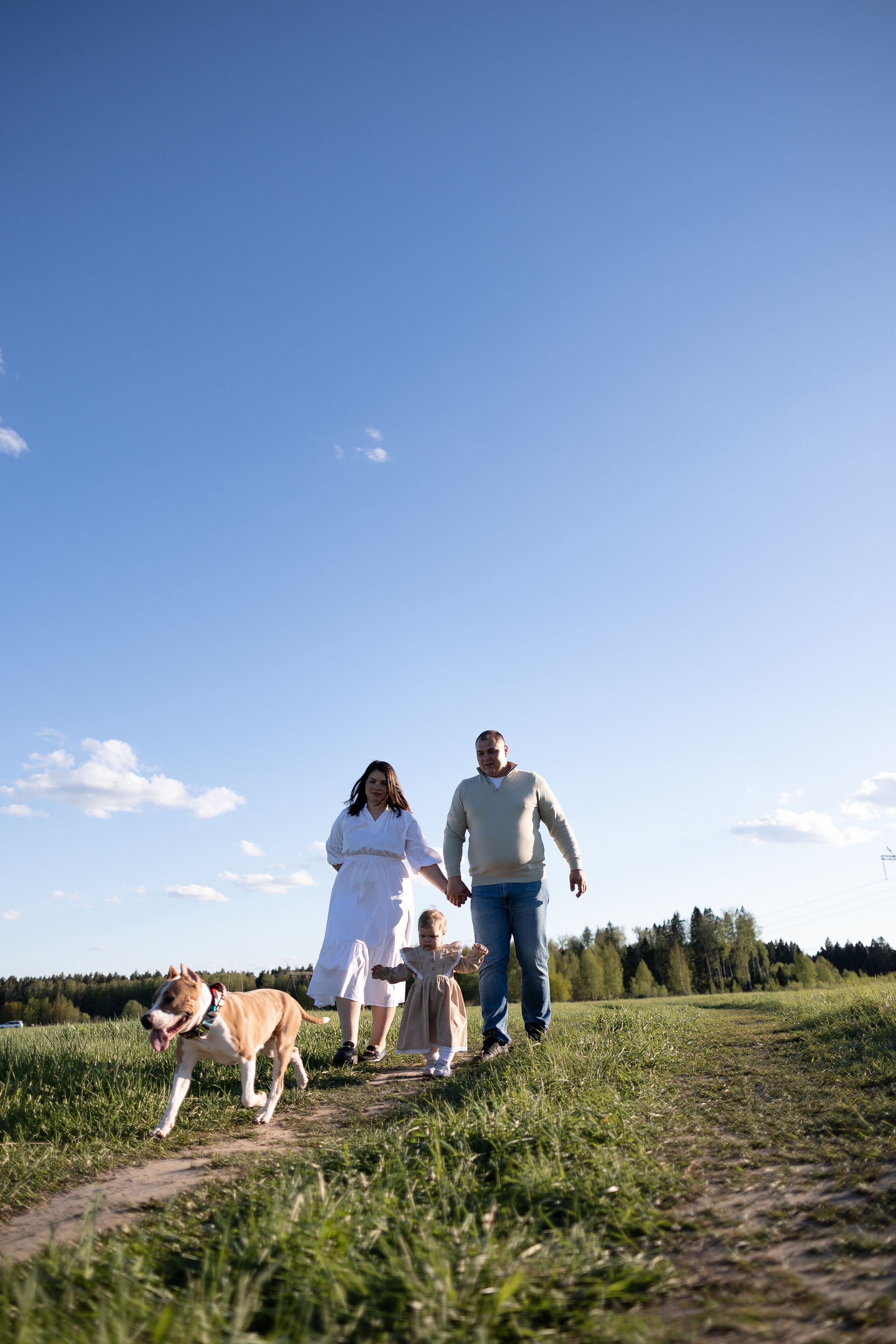 Шуня и ее семья. Фотограф и видеограф анималист Аганина Дарья