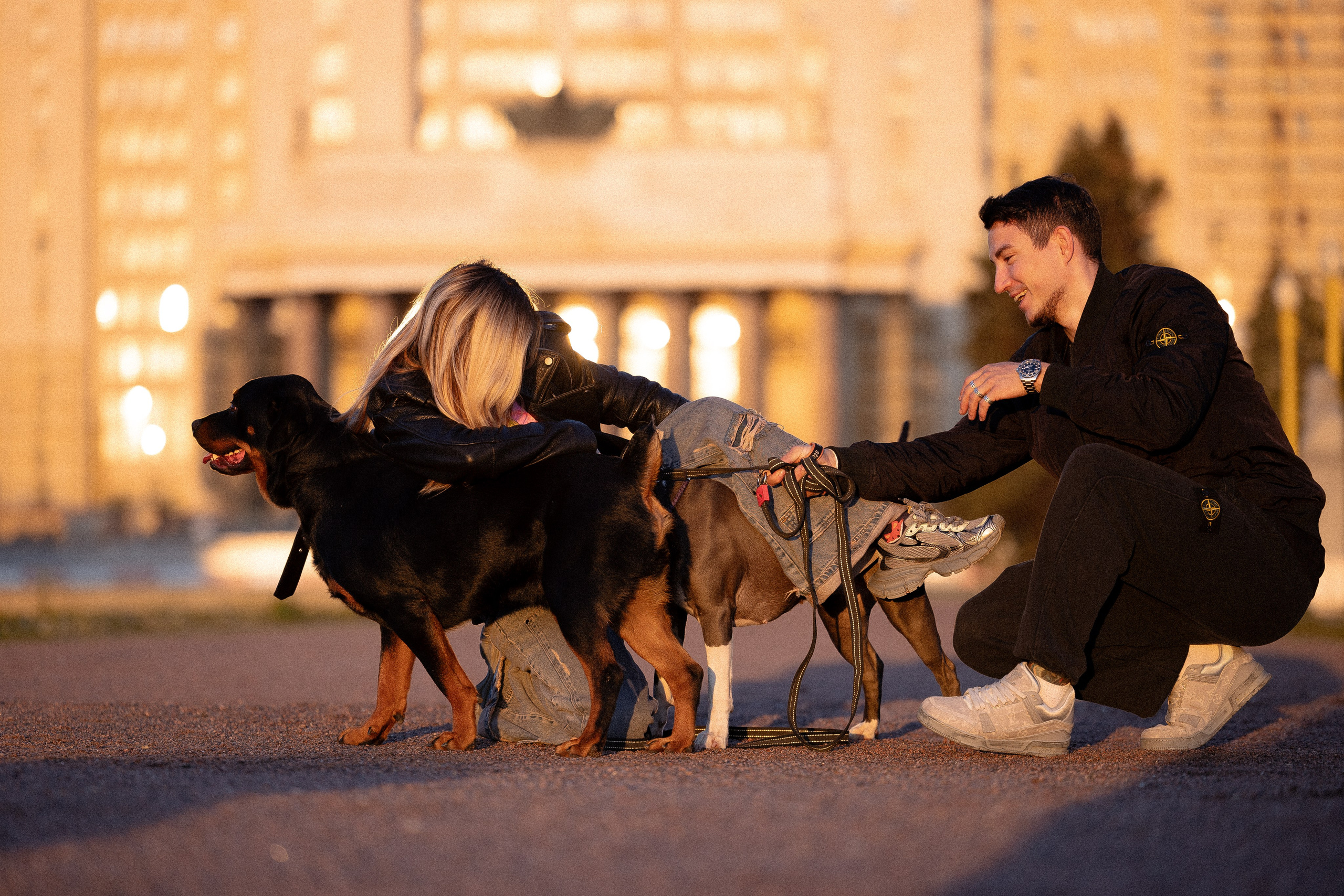 Катя, Леша, Лея и Трой. Фотограф и видеограф анималист Аганина Дарья