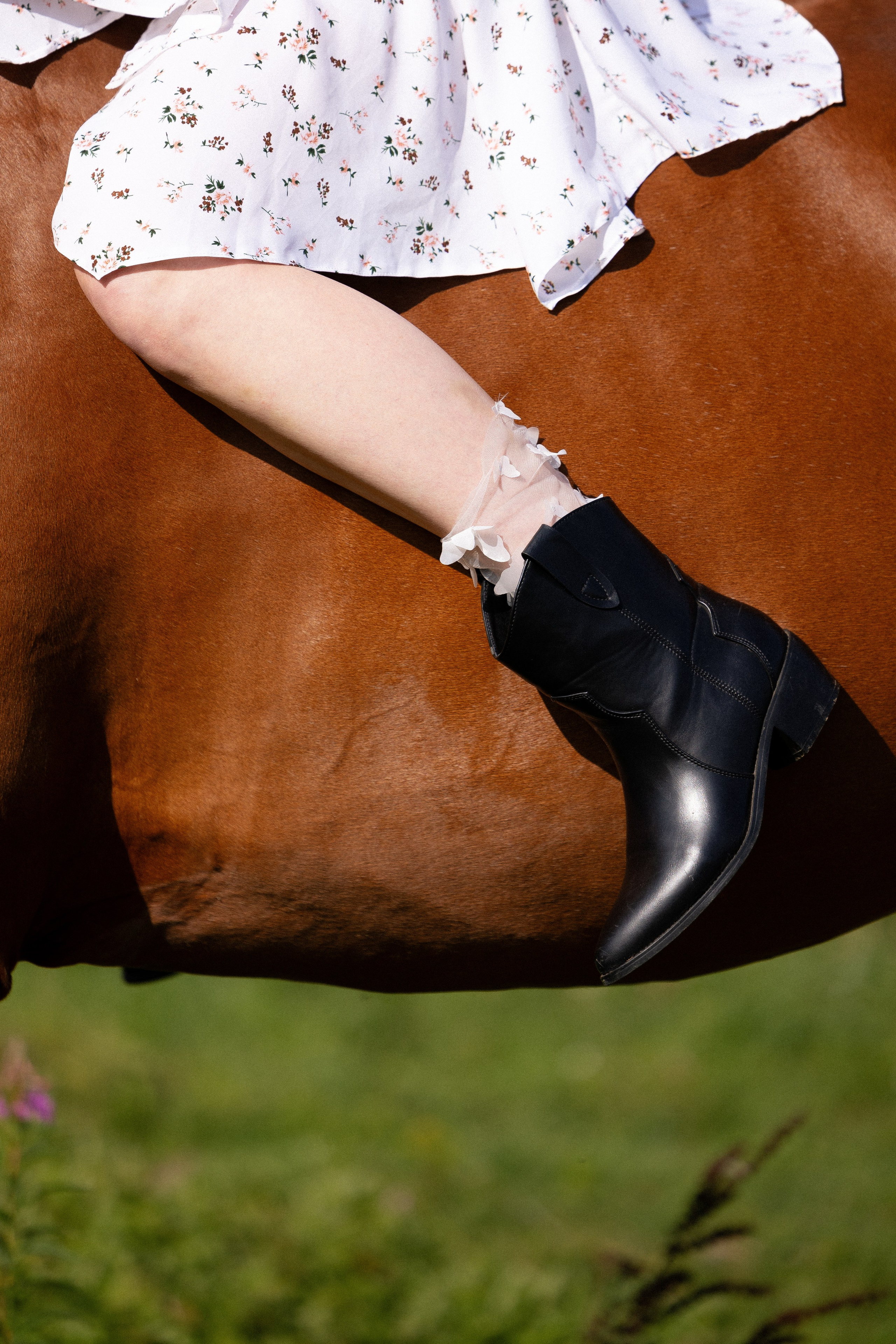 Мария и Реванш. Фотограф и видеограф анималист Аганина Дарья