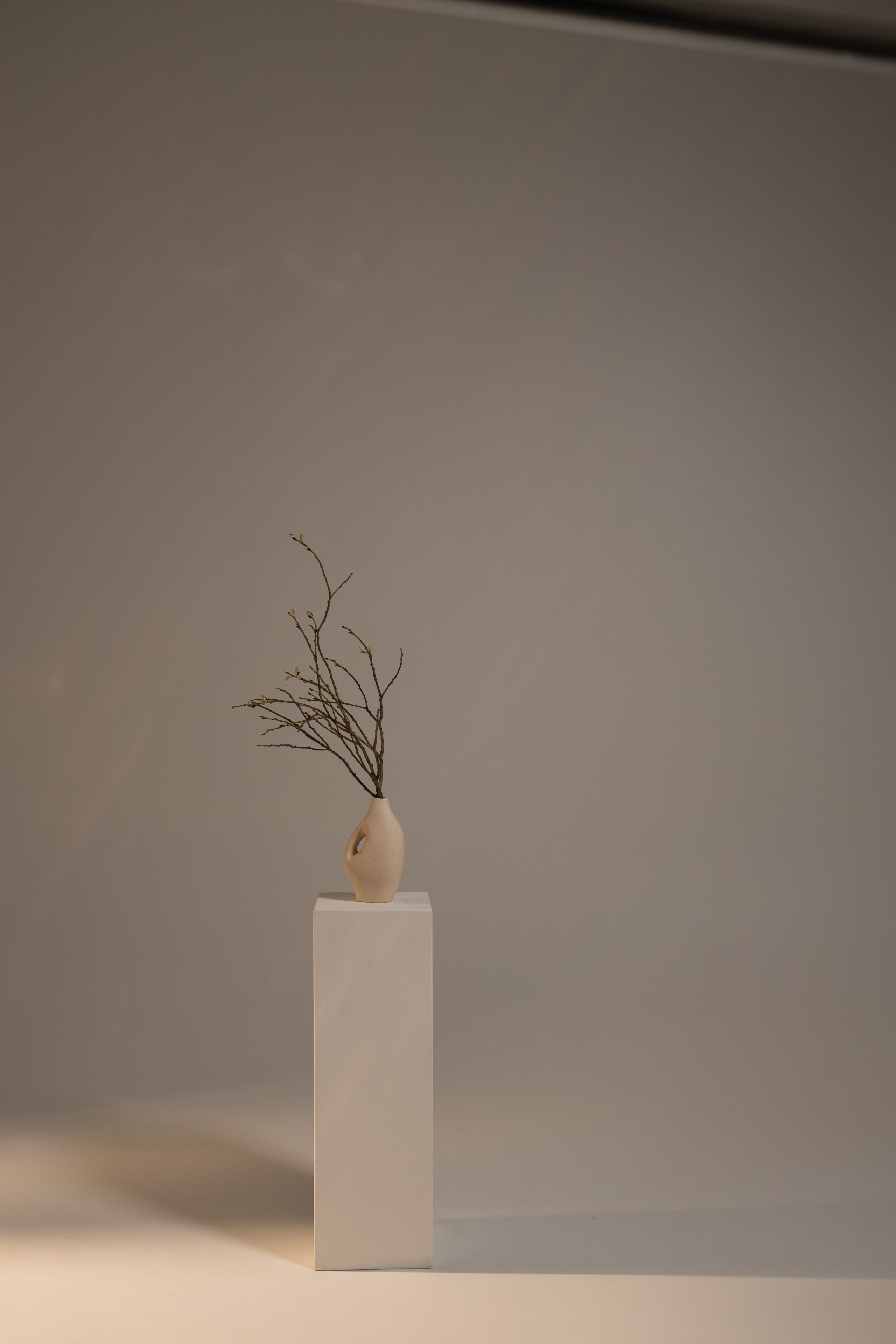 Эстетика П р о Я в л е н и я. Виноградова Маргарита. Фотограф P r o Явления