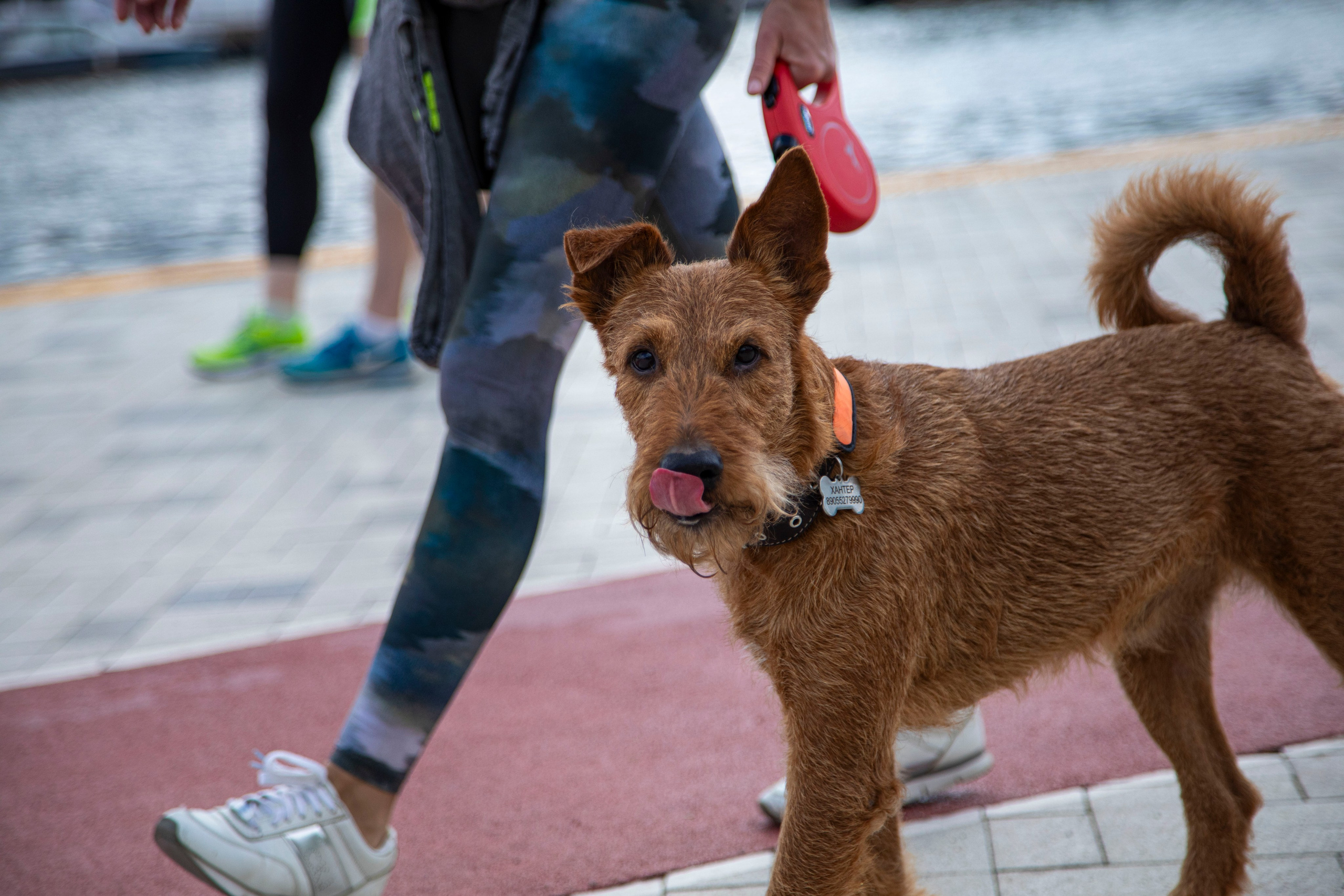 5 вёрст Живописная набережная, 1 июля 2023 г. Фотограф Сергей Ловкий