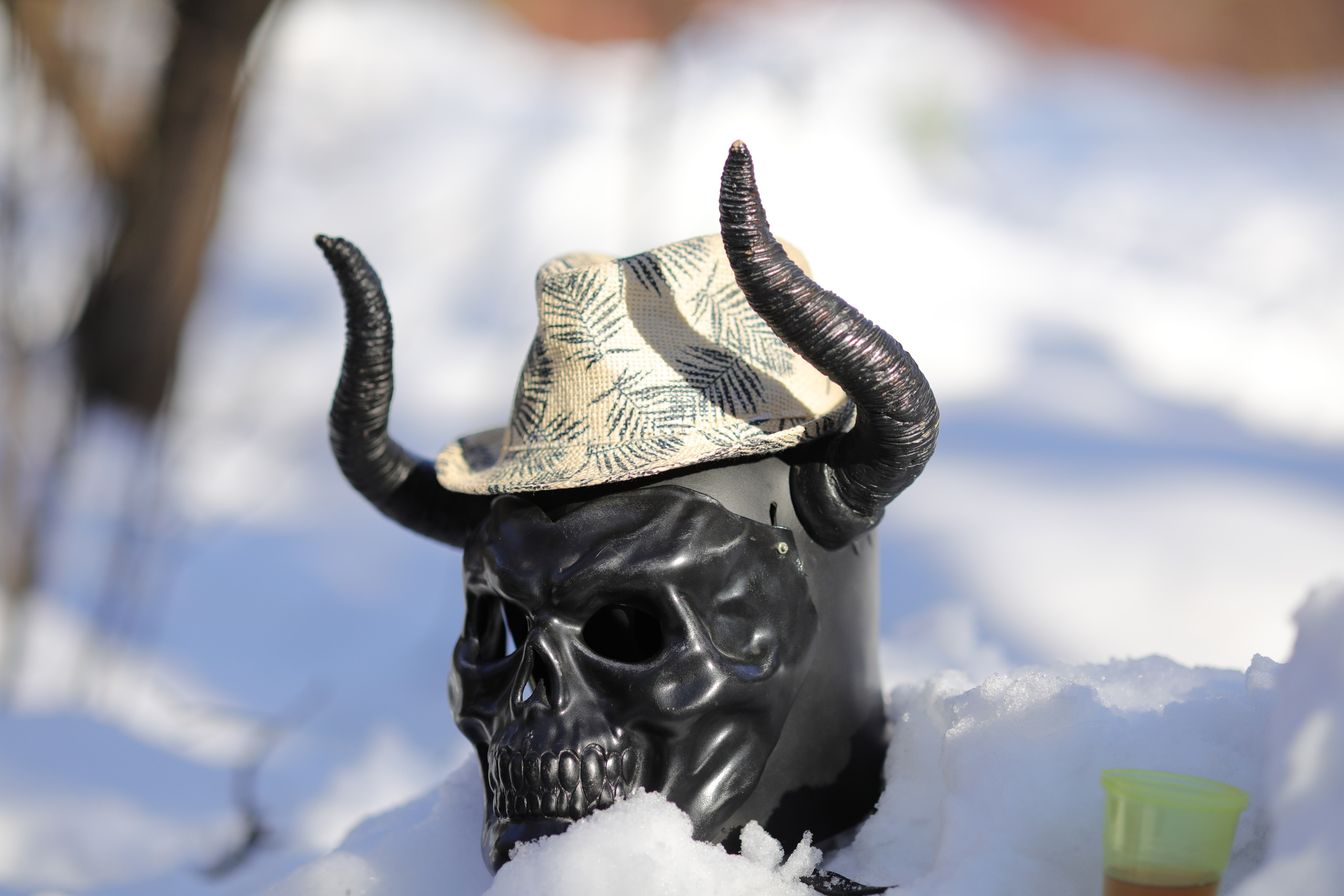 5 вёрст Тушино, 94 забег, 9 марта 2024 г. Фотограф Сергей Ловкий