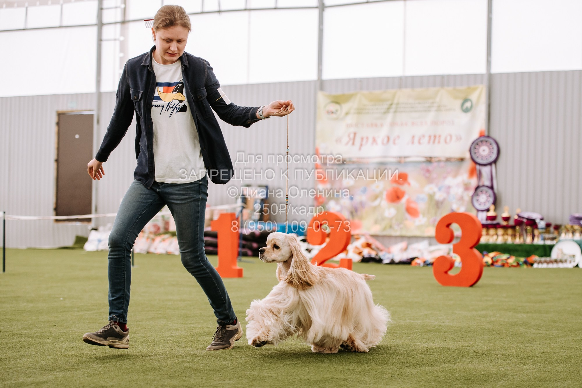 Выставка собак Красноярск 2.06. Фотограф Диана Оленина Красноярск / Братск
