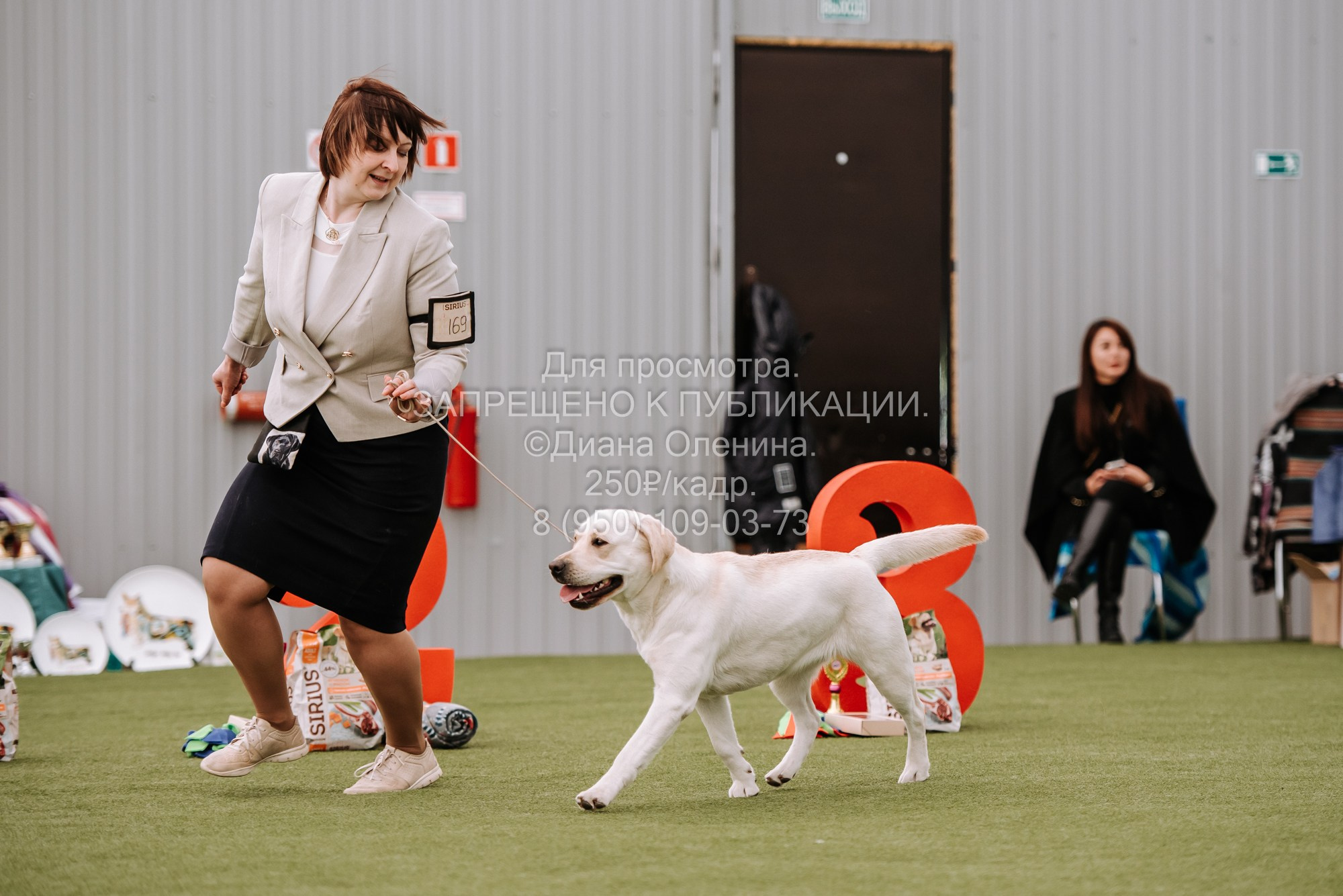 Выставка собак Красноярск 2.06. Фотограф Диана Оленина Красноярск / Братск