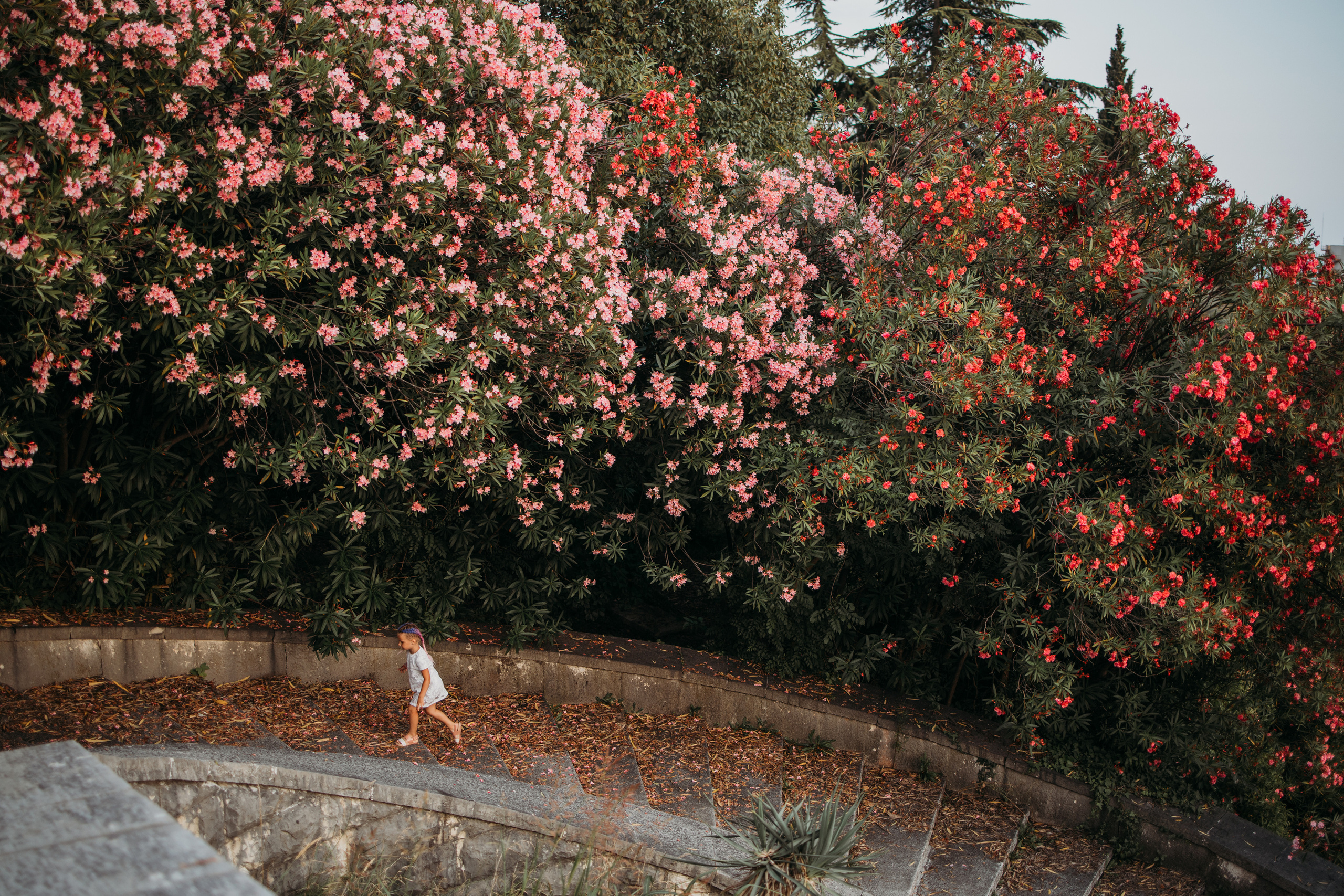 ДЕтская съёмка, детская съёмка в Сочи. Фотограф Сочи Татьяна Зорина