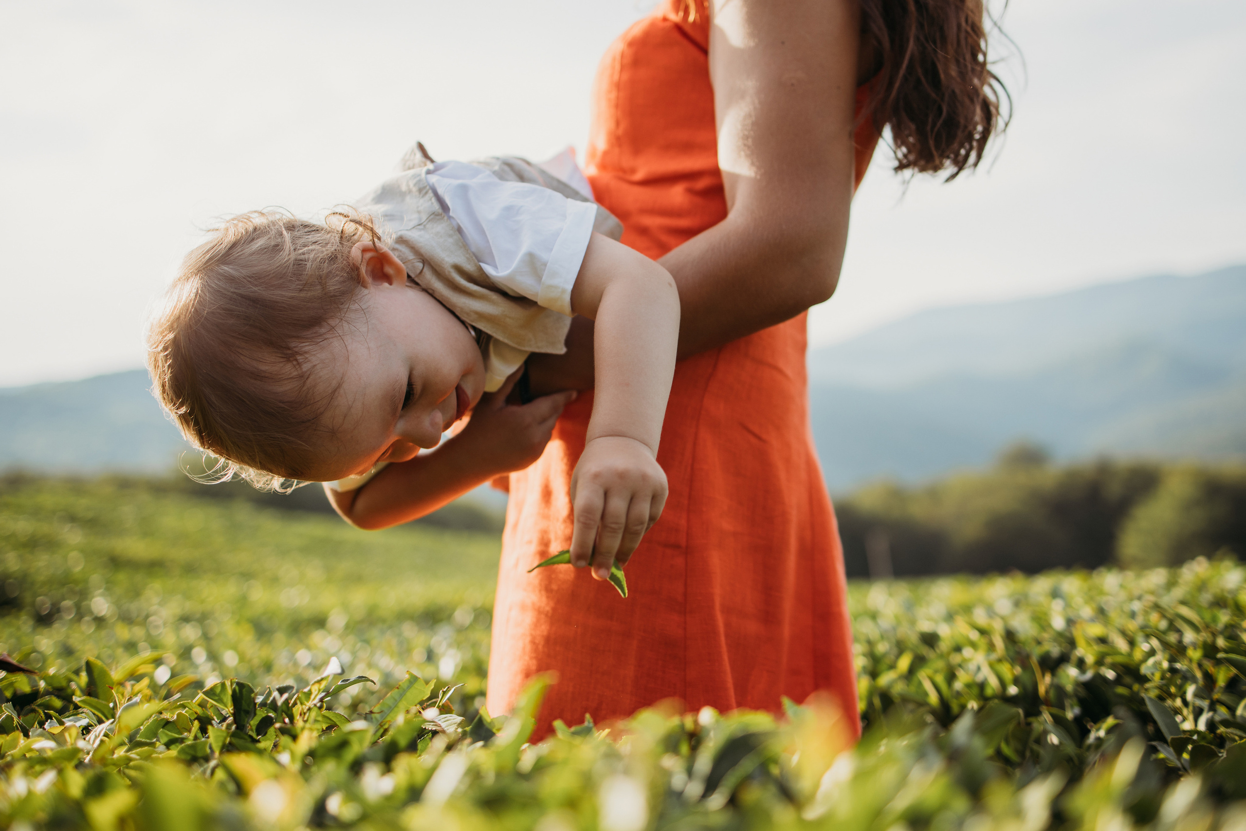 Семейные съёмки Сочи, Семейная фотосессия Сочи. Фотограф Сочи Татьяна Зорина