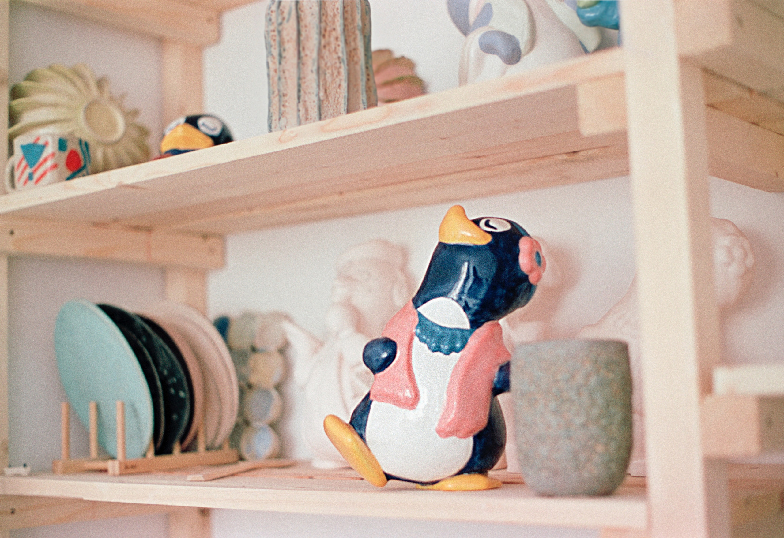 D.N. Стилист и плёночный фотограф Анастасия Шлокова в Санкт-Петербурге и Москве