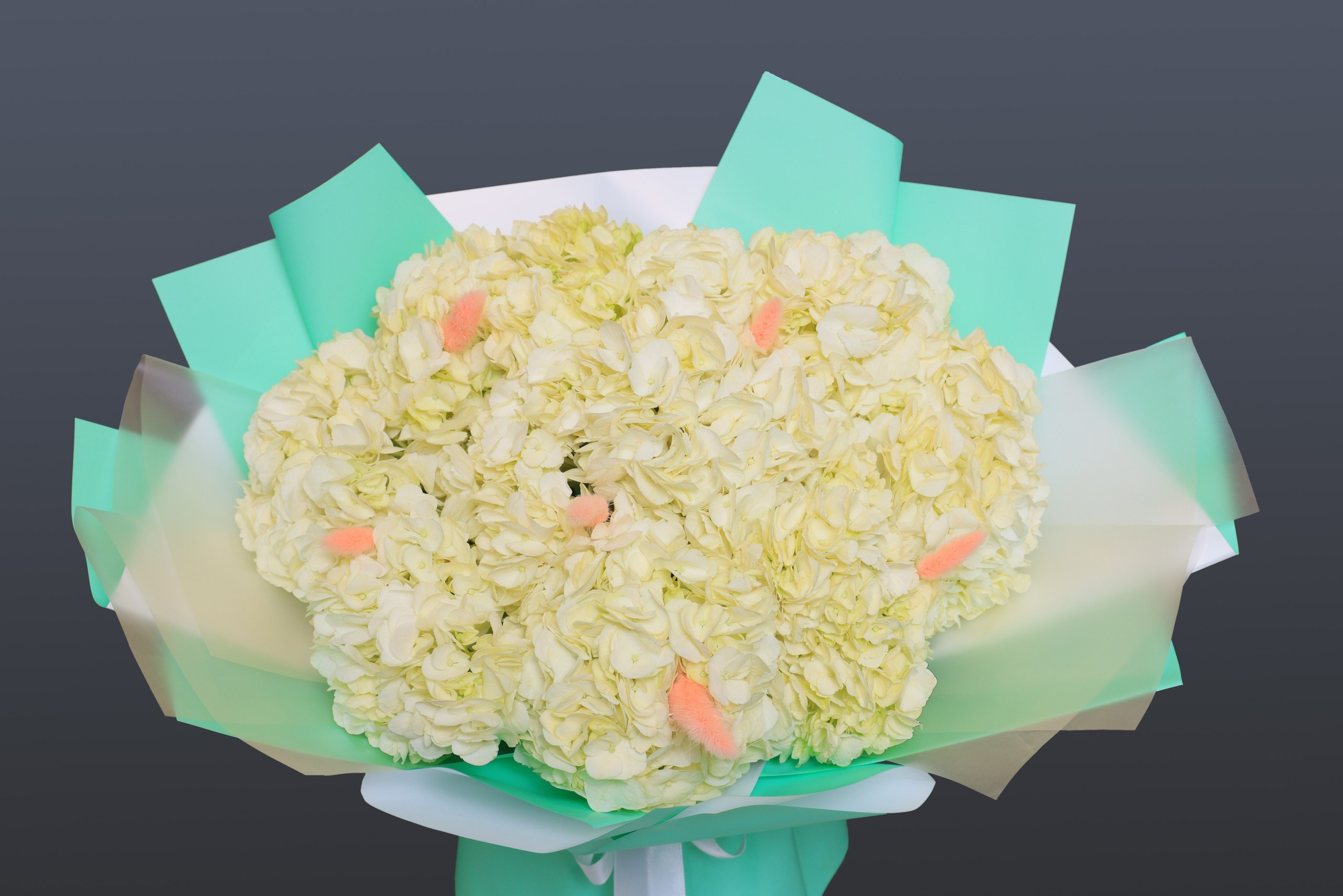 Цветы. Фотограф в Туле Крупский АнДРей. Фотостудия «КАДР71» в Туле