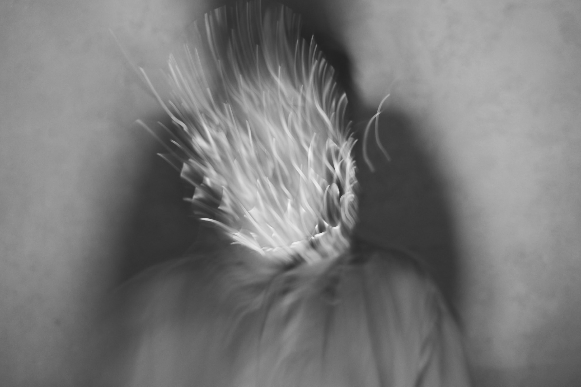 Self-portrait. Mashoolyaa: художник, фотограф, Санкт-Петербург, Волгоград, Мир