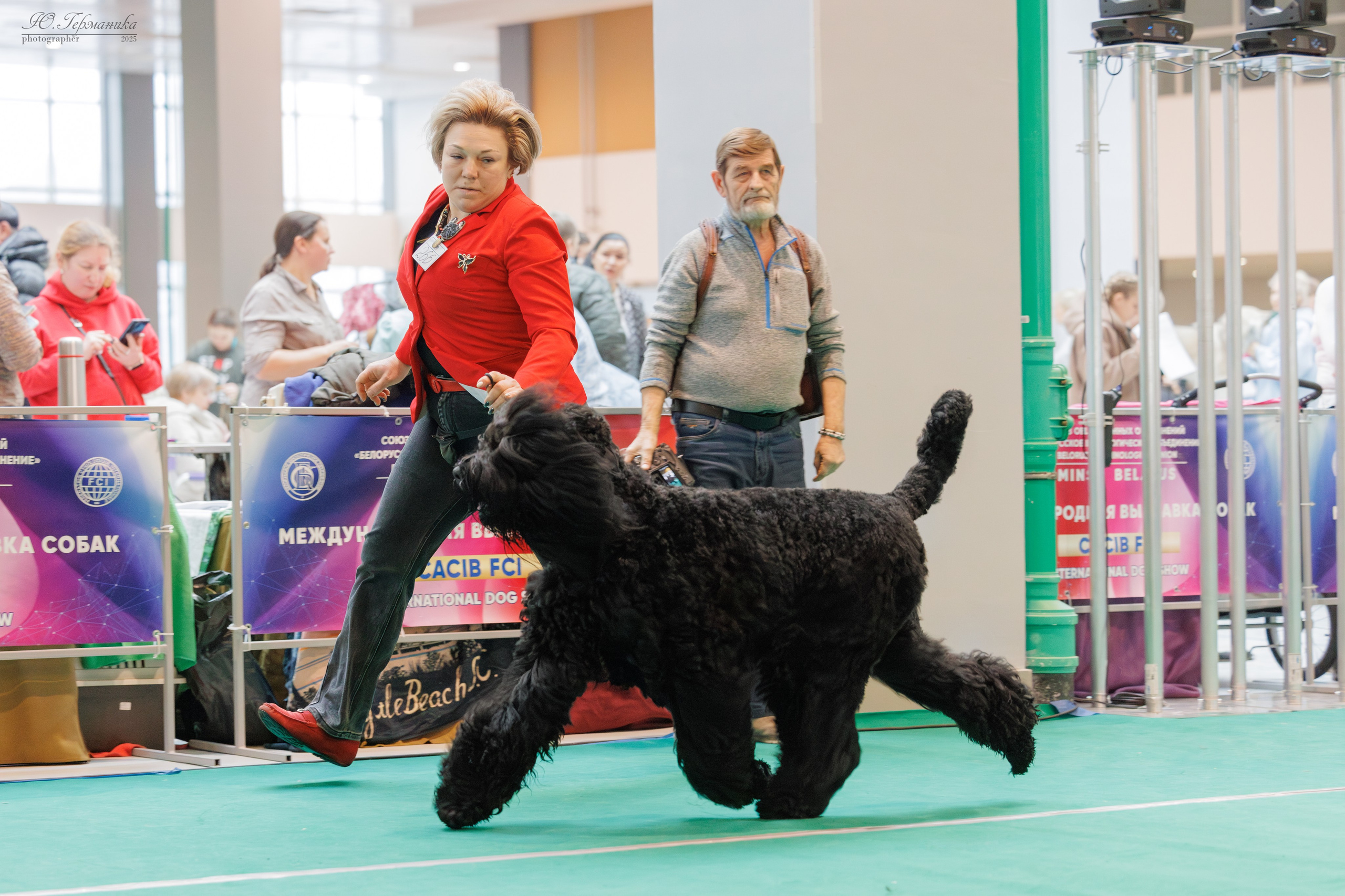 Минск 1-2.03.2025. Фотограф-анималист Юлия Германика