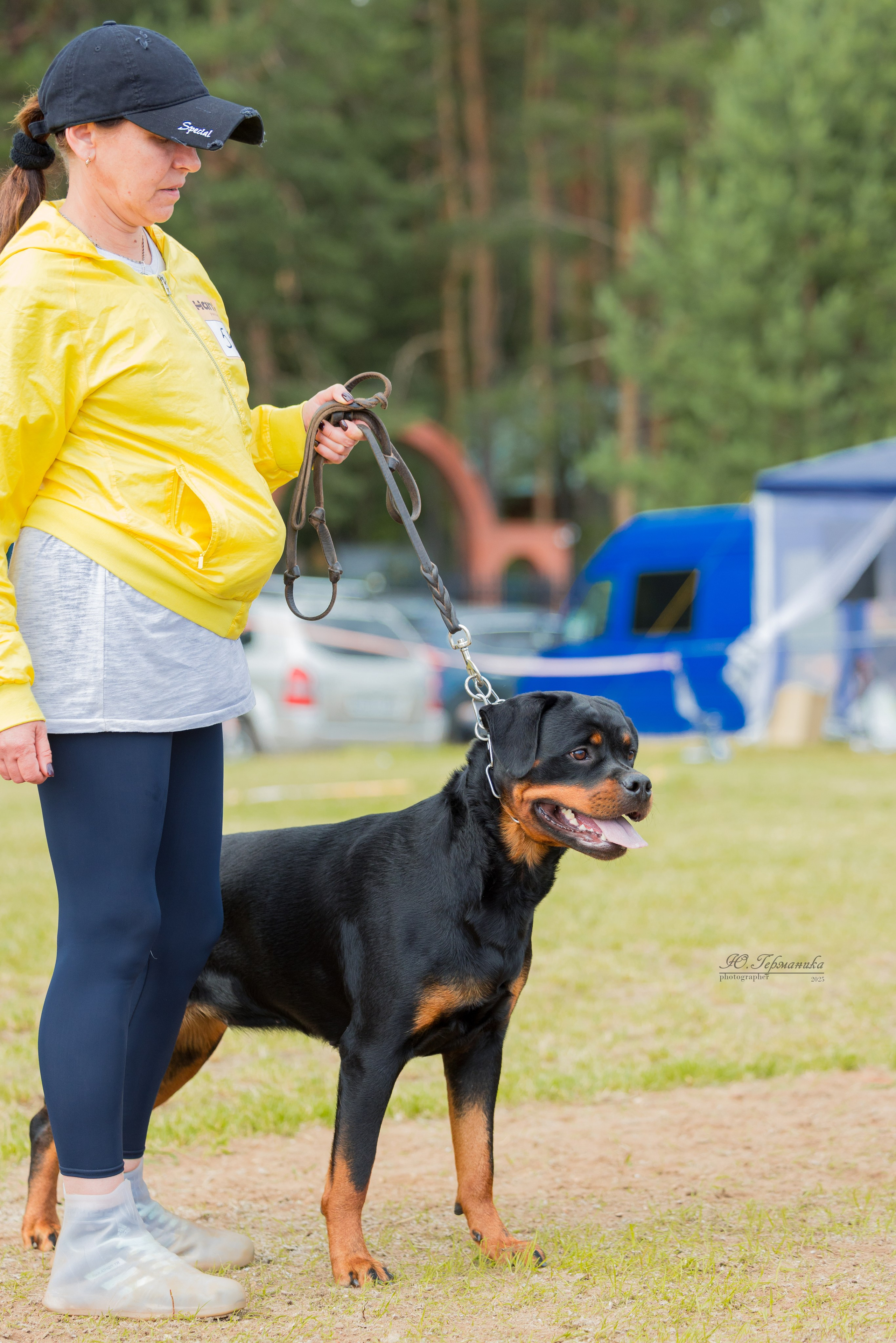 Тверь ротвейлеры 5-6.07.2025. Фотограф-анималист Юлия Германика