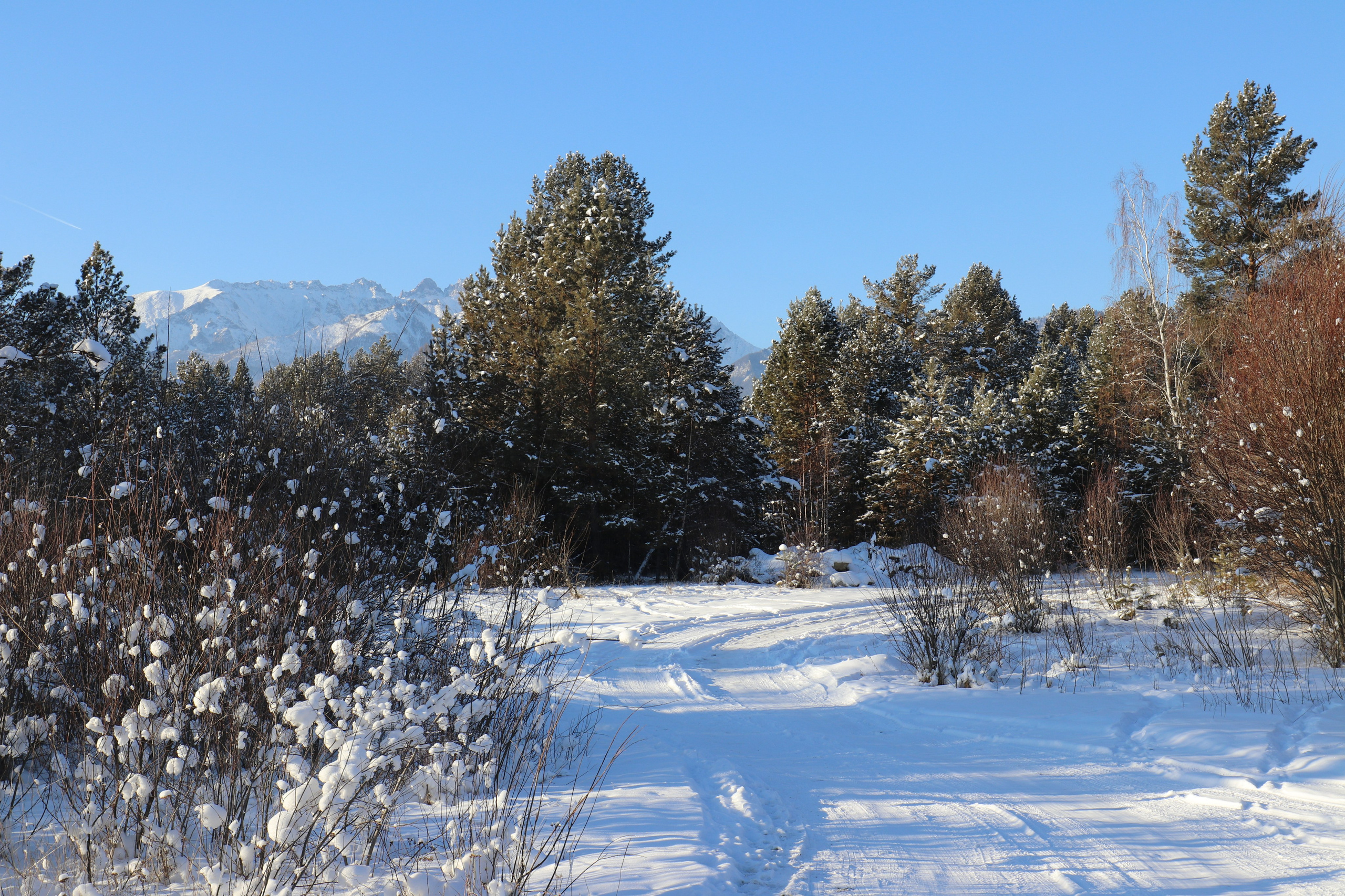 Аршан. Январь 2022. Путешественник-фотограф из Санкт-Петербурга Татьяна Свистулина