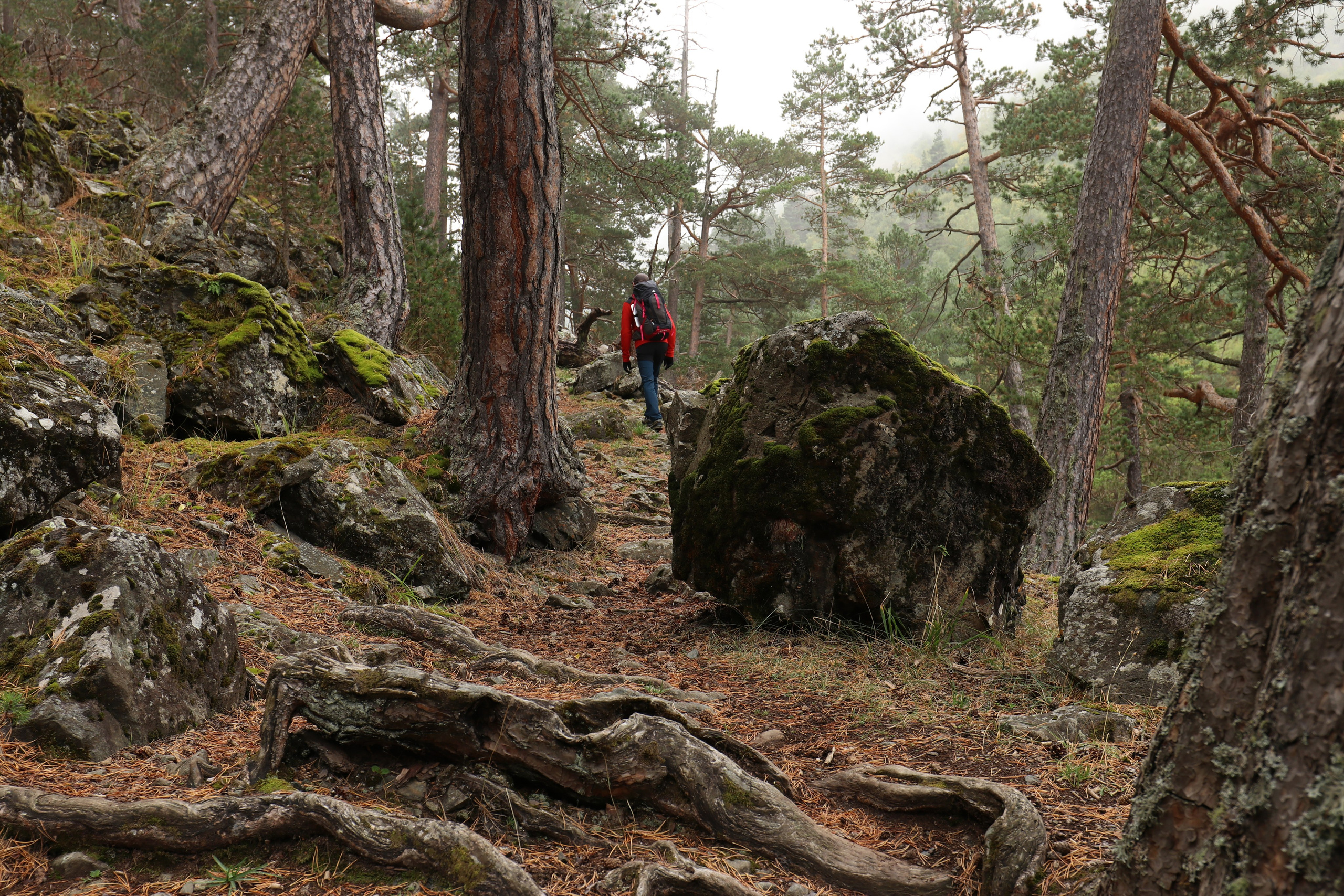 Приэльбрусье. Сентябрь 2024. Путешественник-фотограф из Санкт-Петербурга Татьяна Свистулина