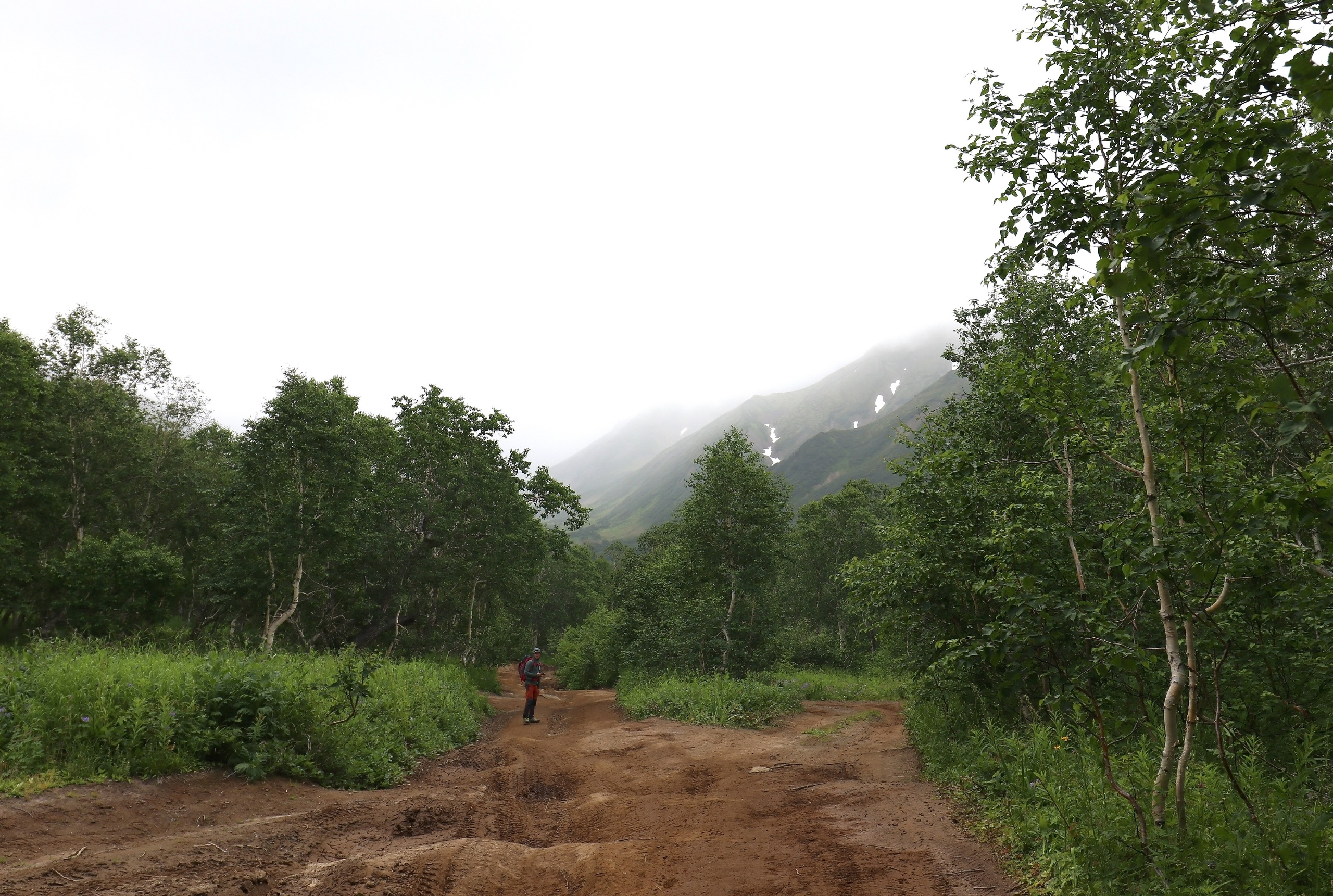 Камчатка и о. Парамушир. Июль 2024. Путешественник-фотограф из Санкт-Петербурга Татьяна Свистулина