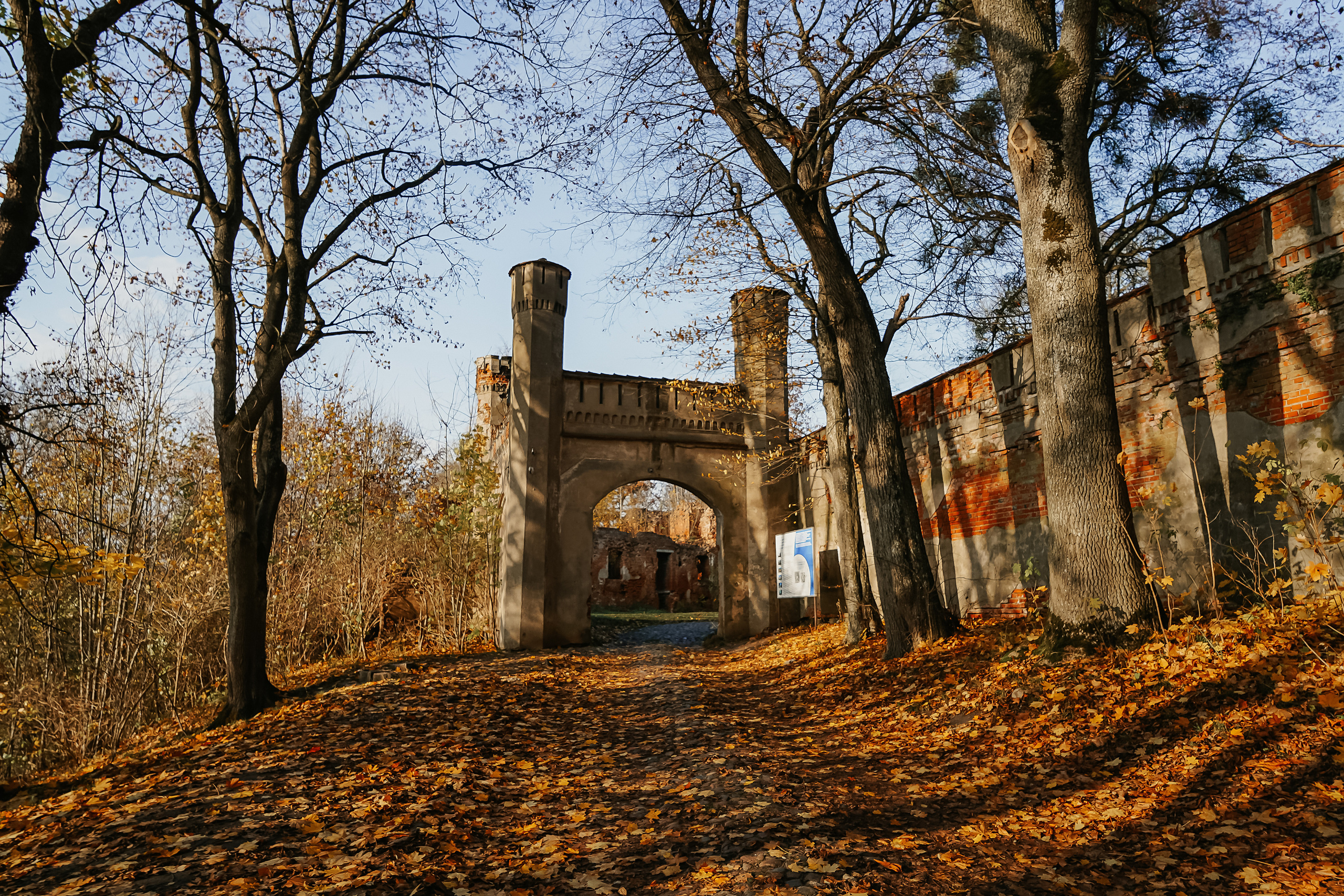 Железнодорожный Калининград. Свадебный и семейный фотограф/видеограф в Краснодаре Наталья Осинская
