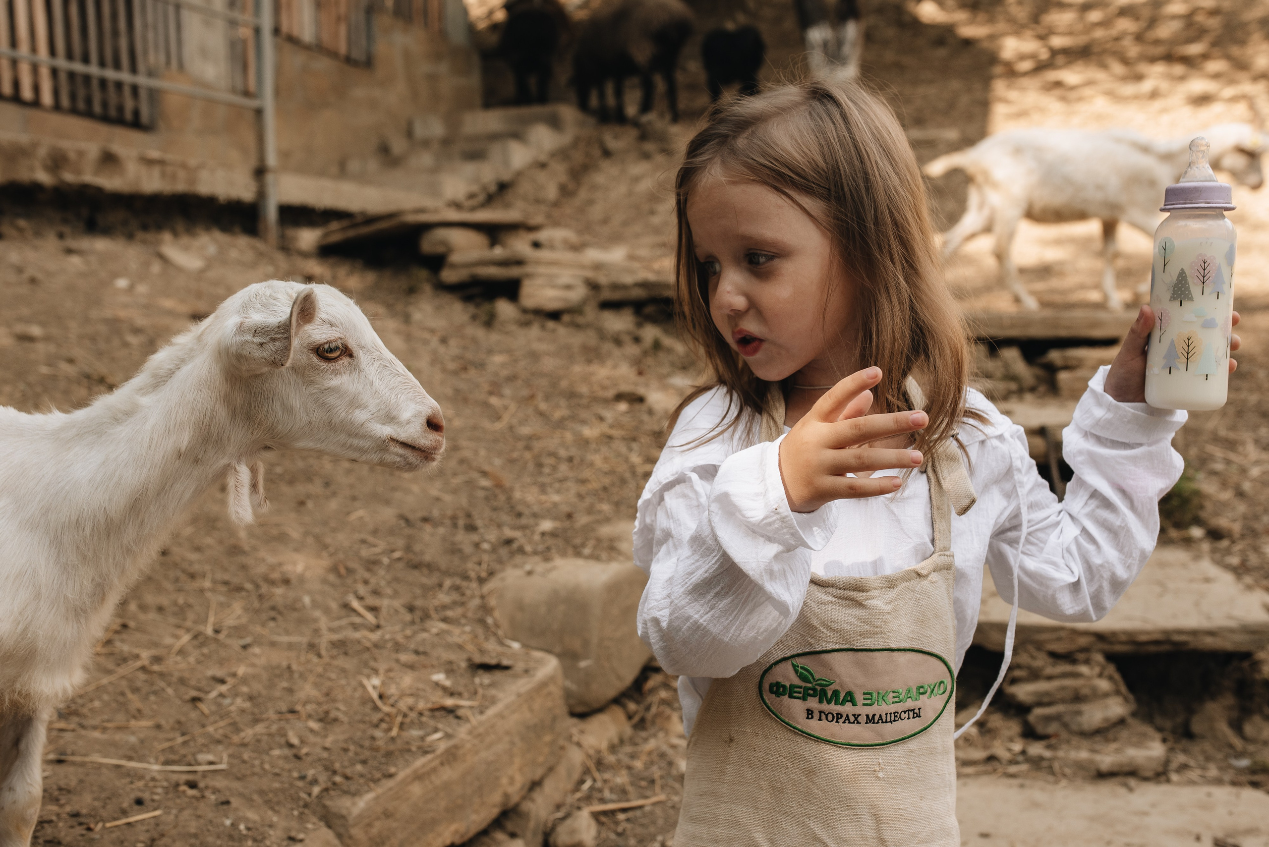 На ферме. Семейная фотосессия в Новосибирске от фотографа Ольги Коваль