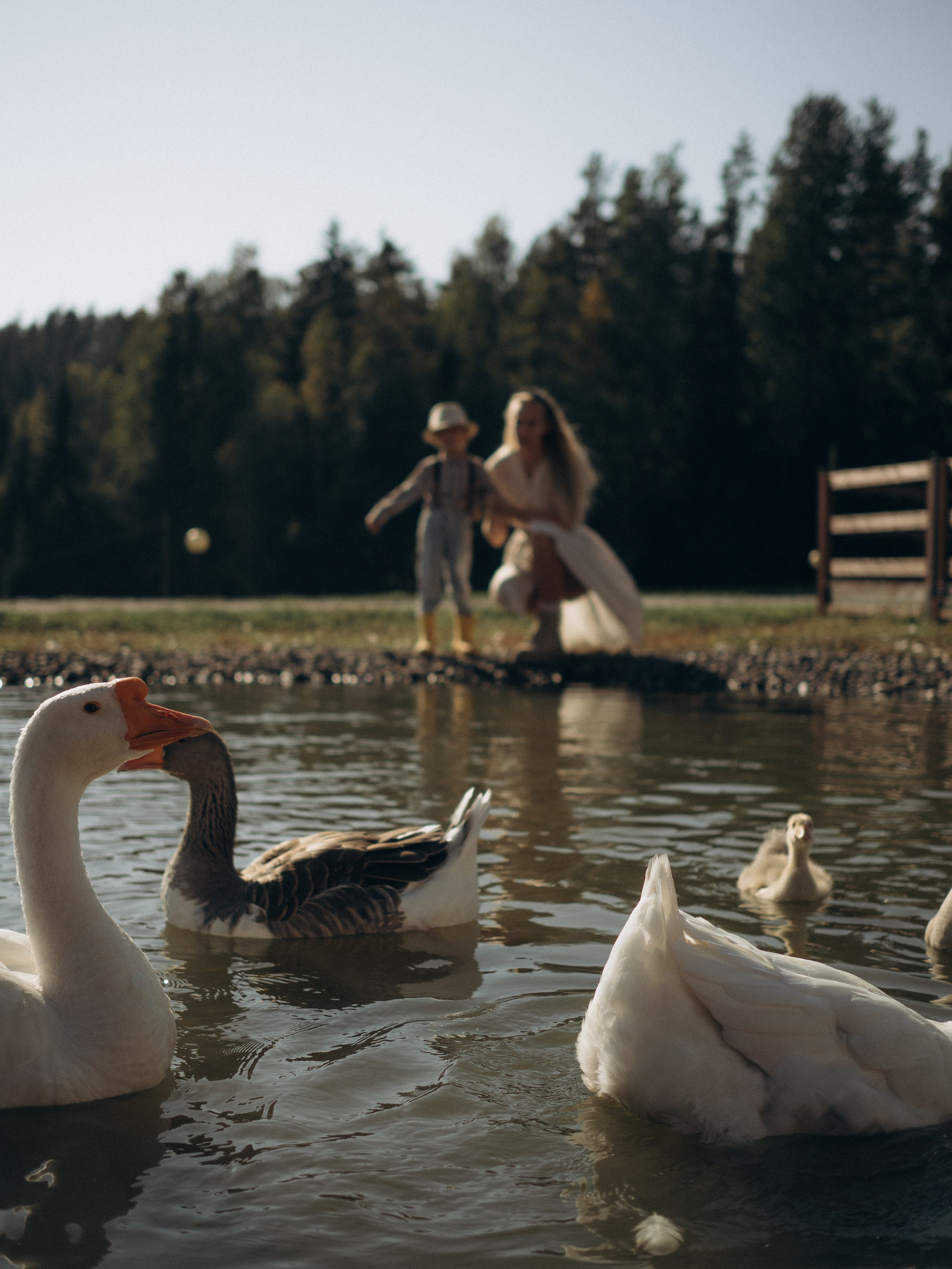 Fam2. Фотограф в Сортавала Карина Буглакова