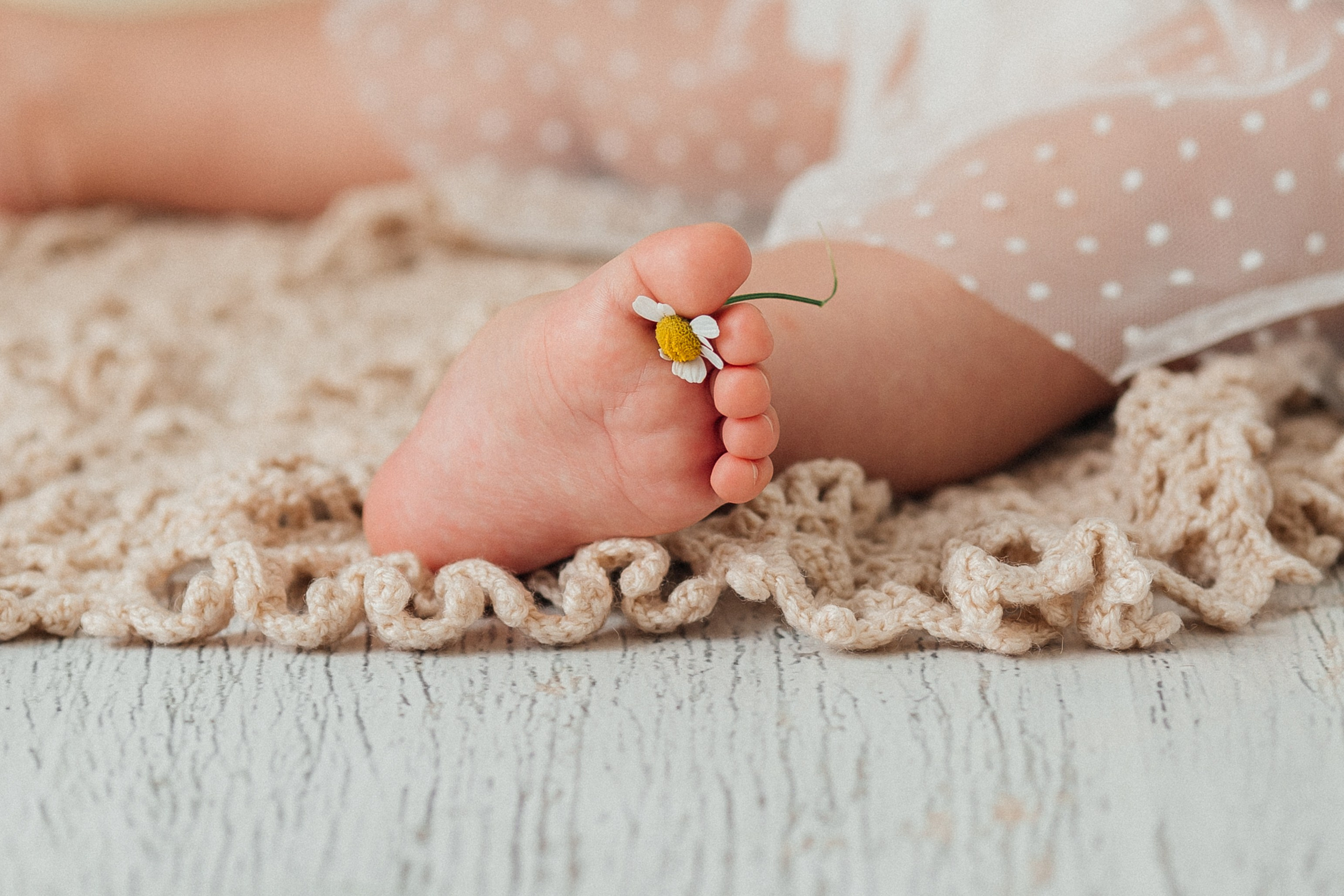 Фотограф Екатерина Боброва