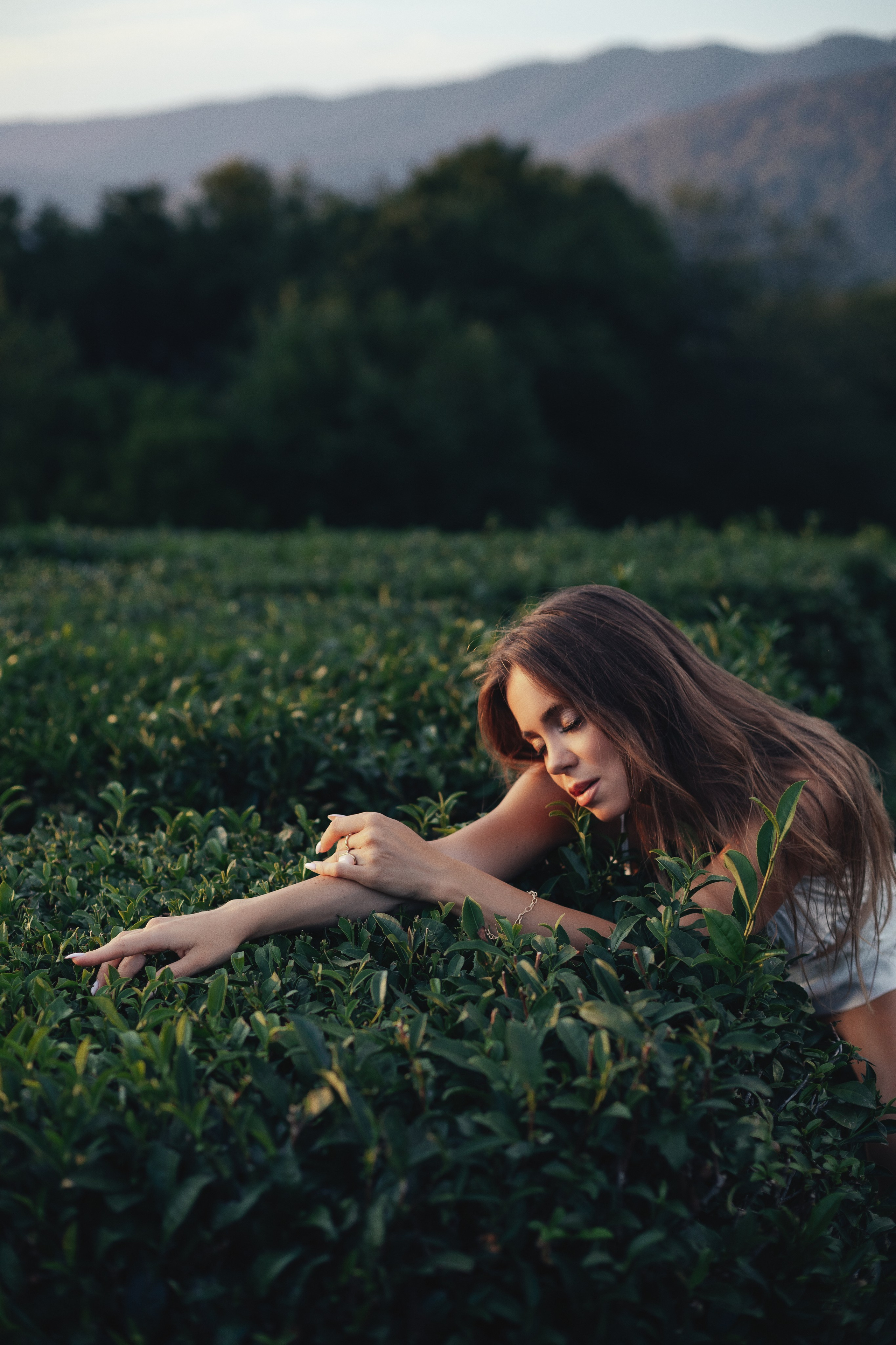 Саша «Закат на плантациях». Женский и семейный фотограф Ростов-на-Дону и Сочи