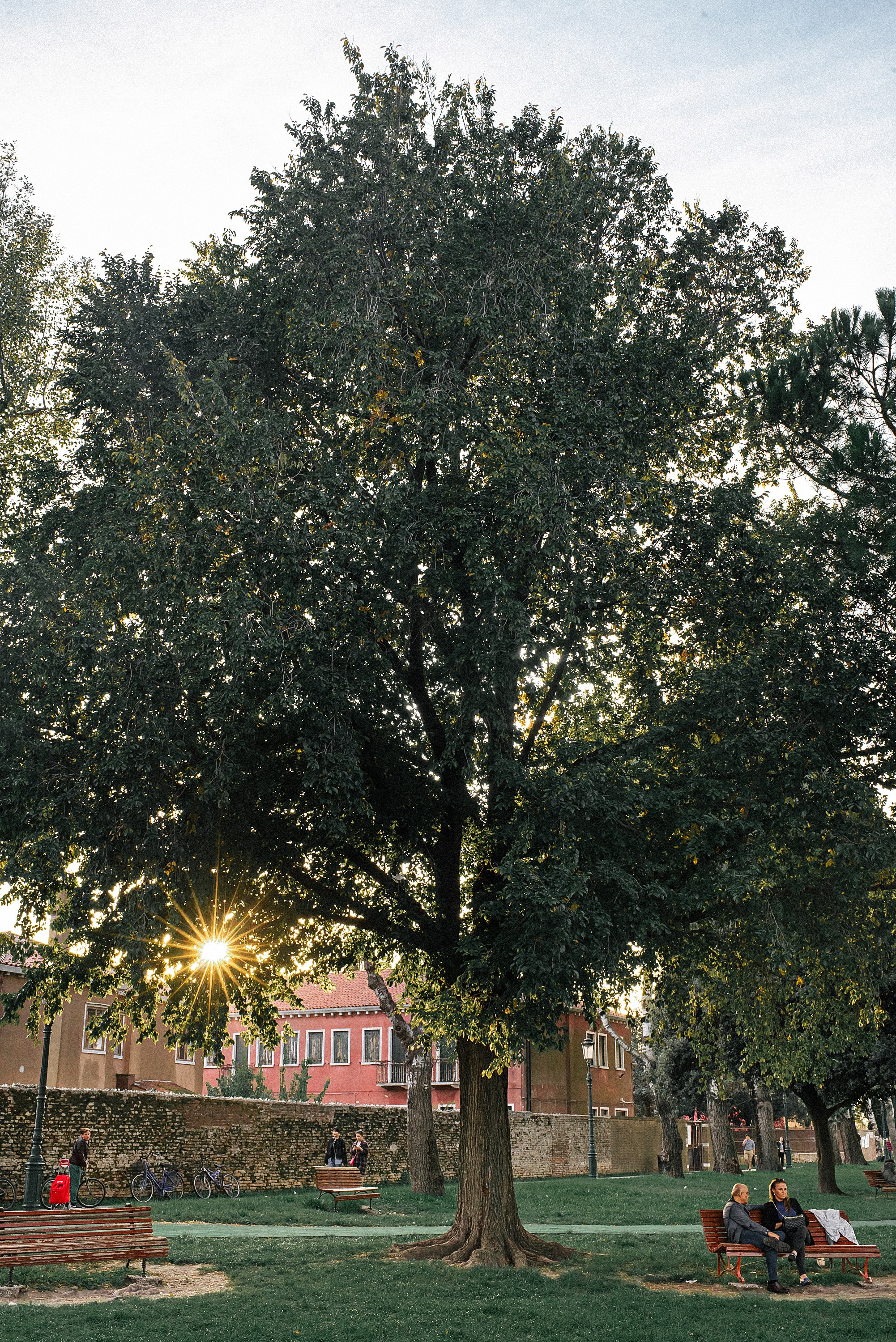 Свадебный фотограф Новосибирск