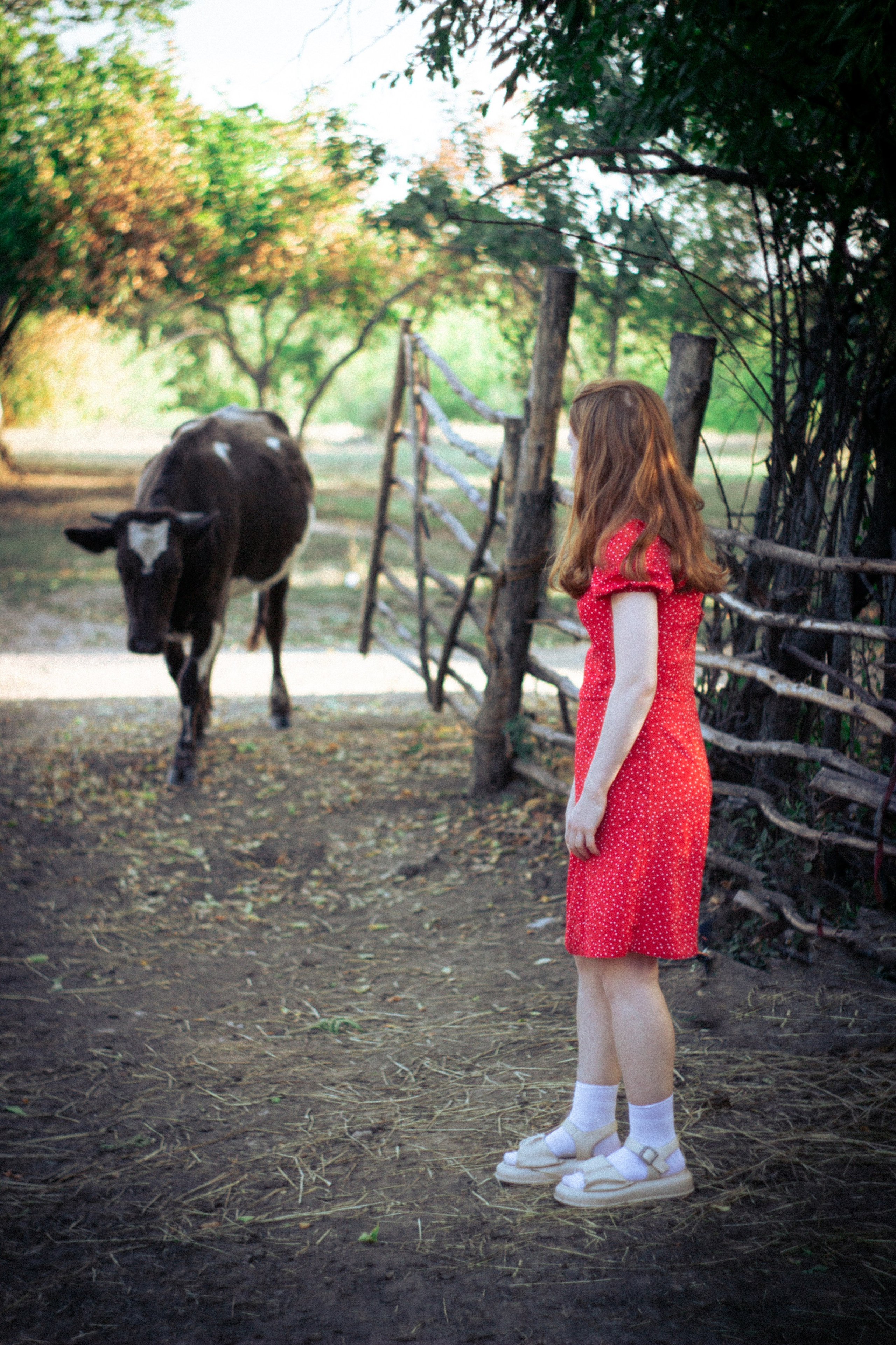 Платье в горошек. • Фотограф Александра Светозар Алчевск •