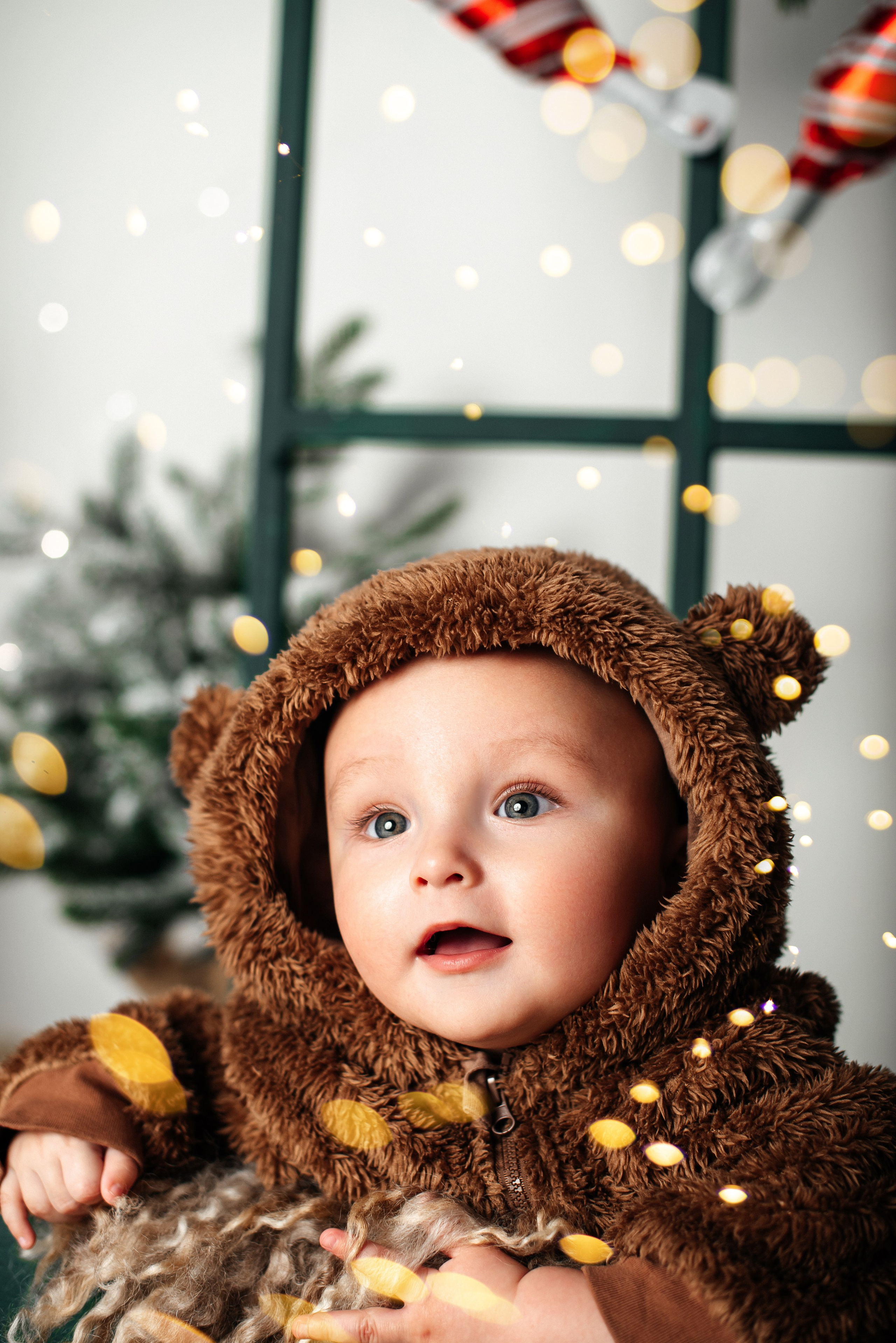 Новый год. Фотограф новорожденных и беременности Сергиев Посад Усачева Ирина