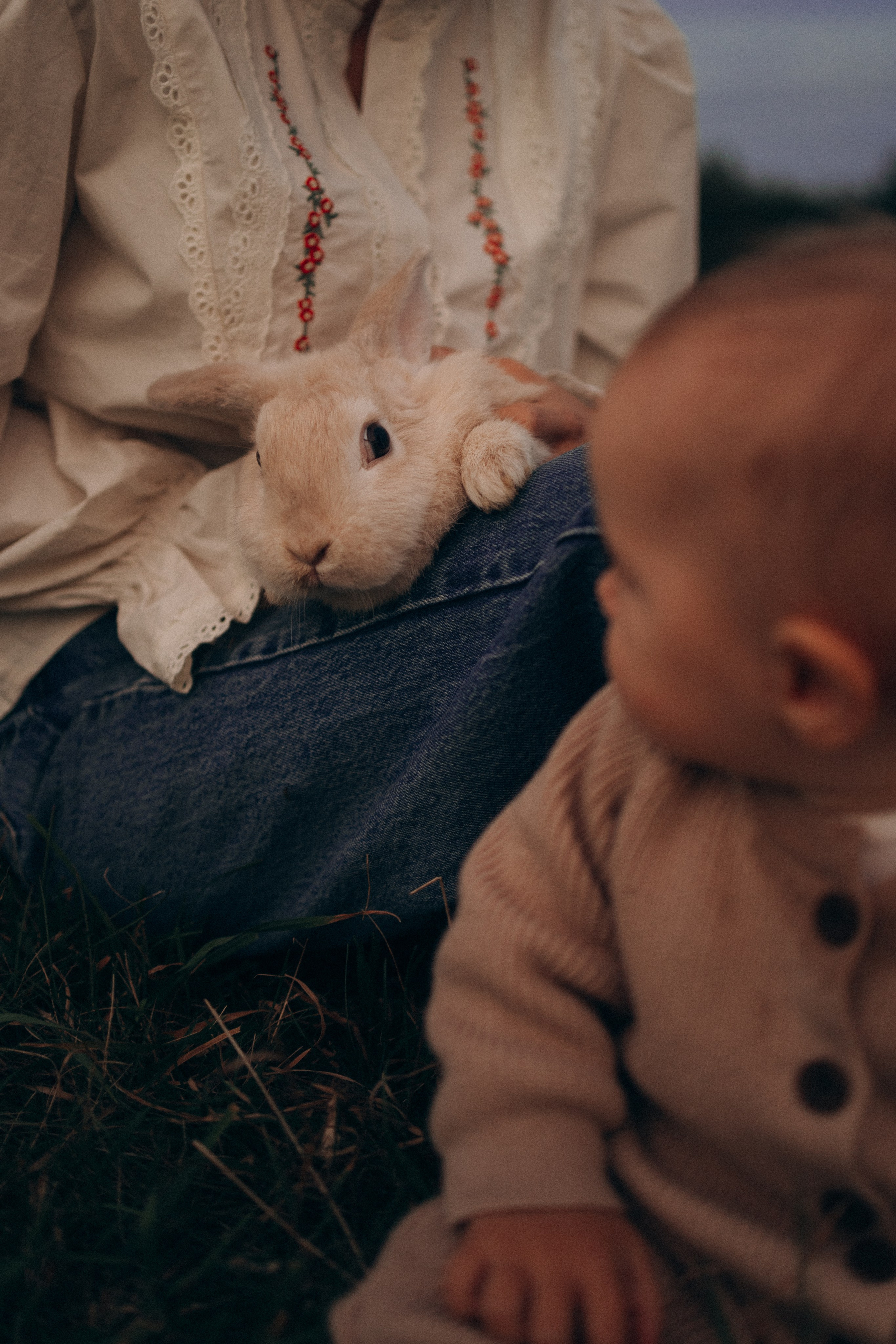 Семейная. Фотораф — анималист Мария Шистка