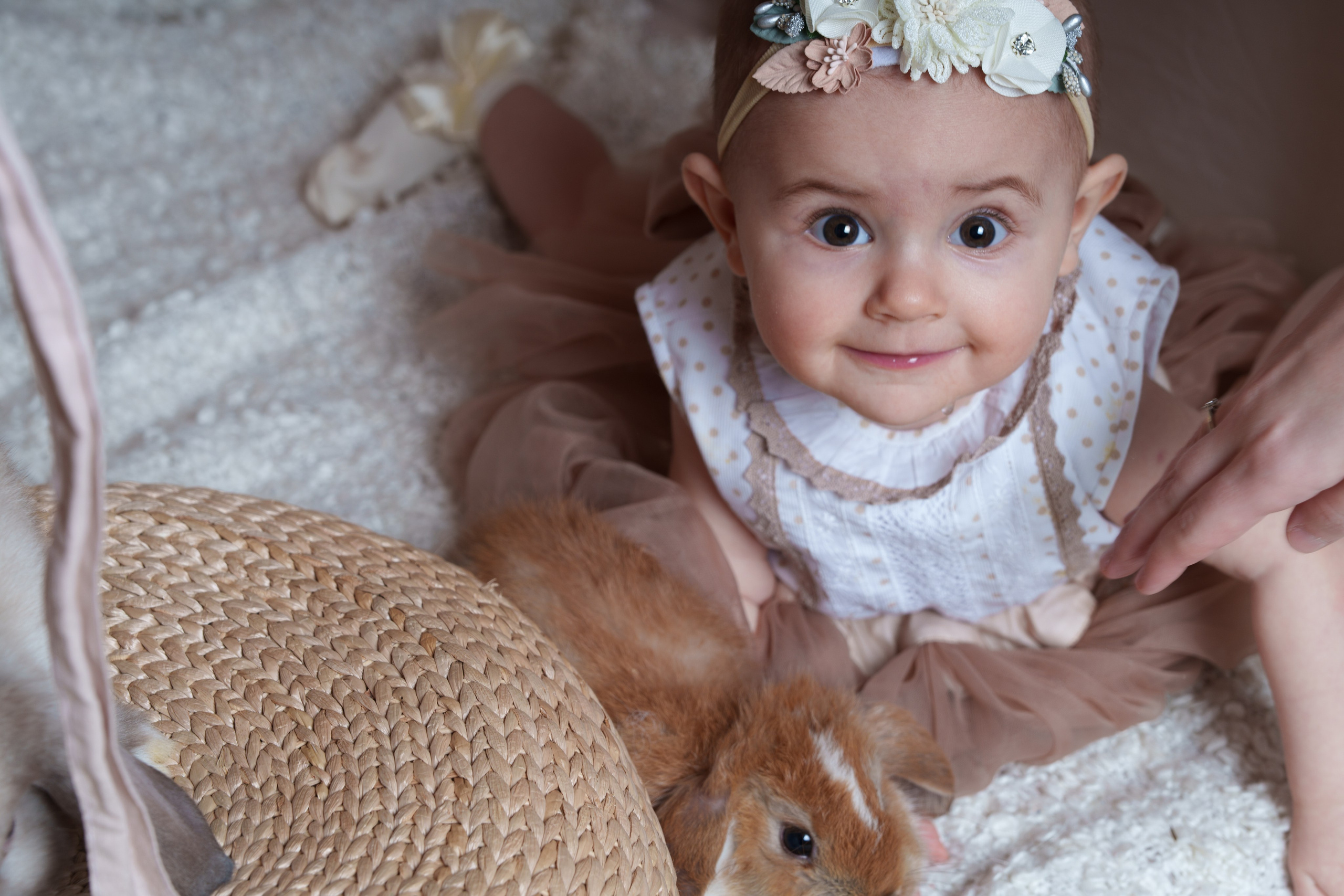 Семейные съемки. Главная