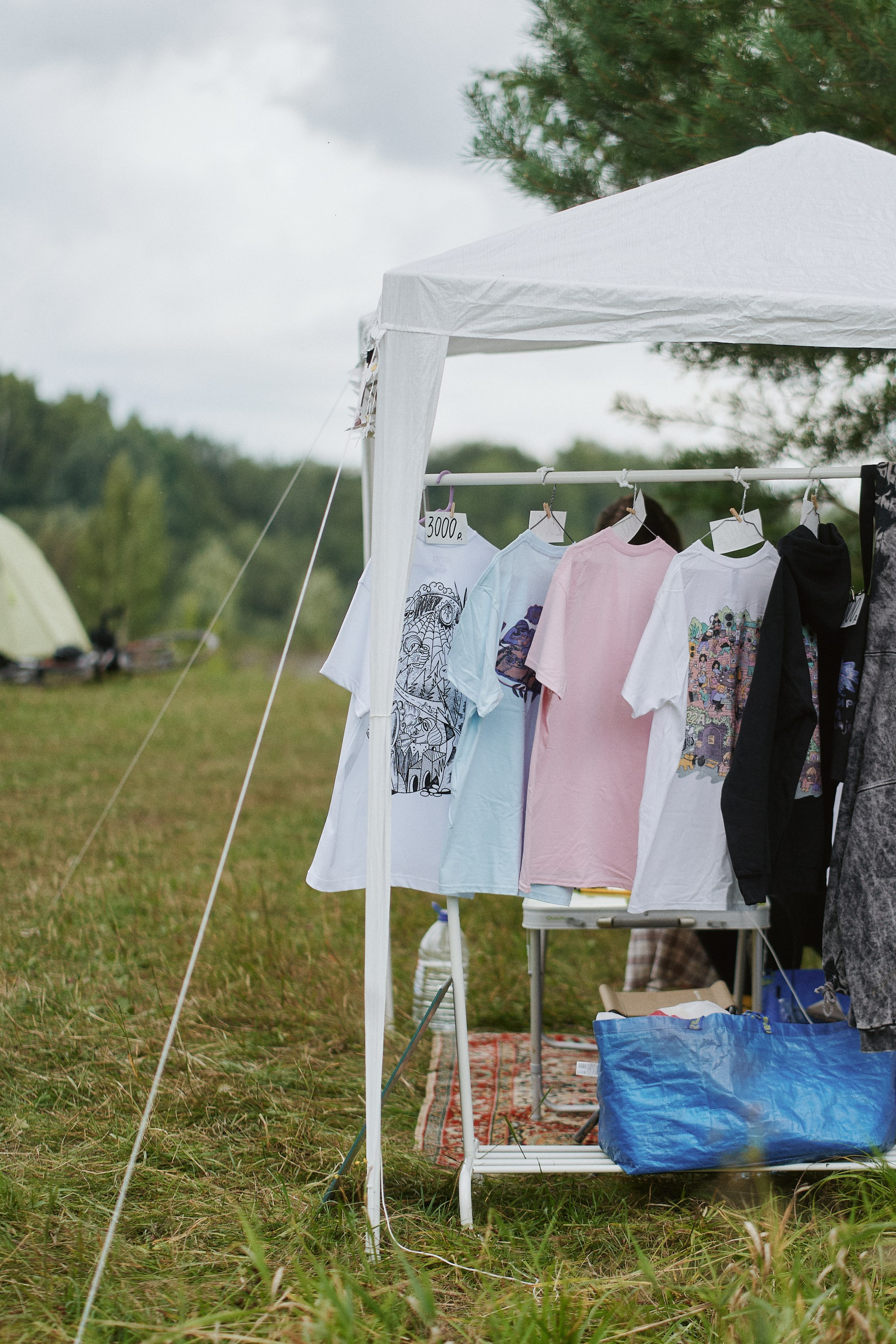 ПОКРОВА 2024. Еремина Катерина