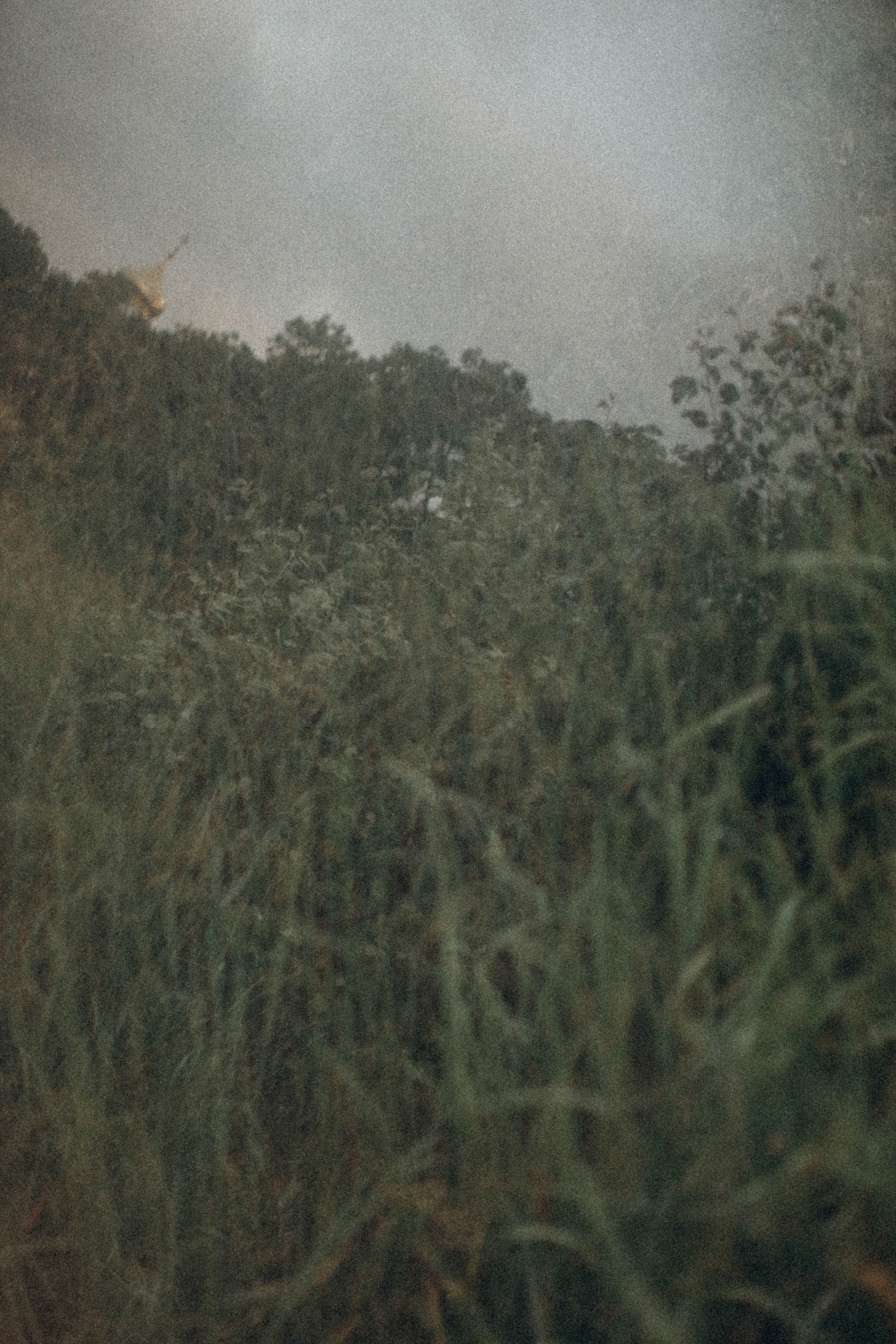 DETSTVO. Фотограф в Геленджике Елизавета Гудина