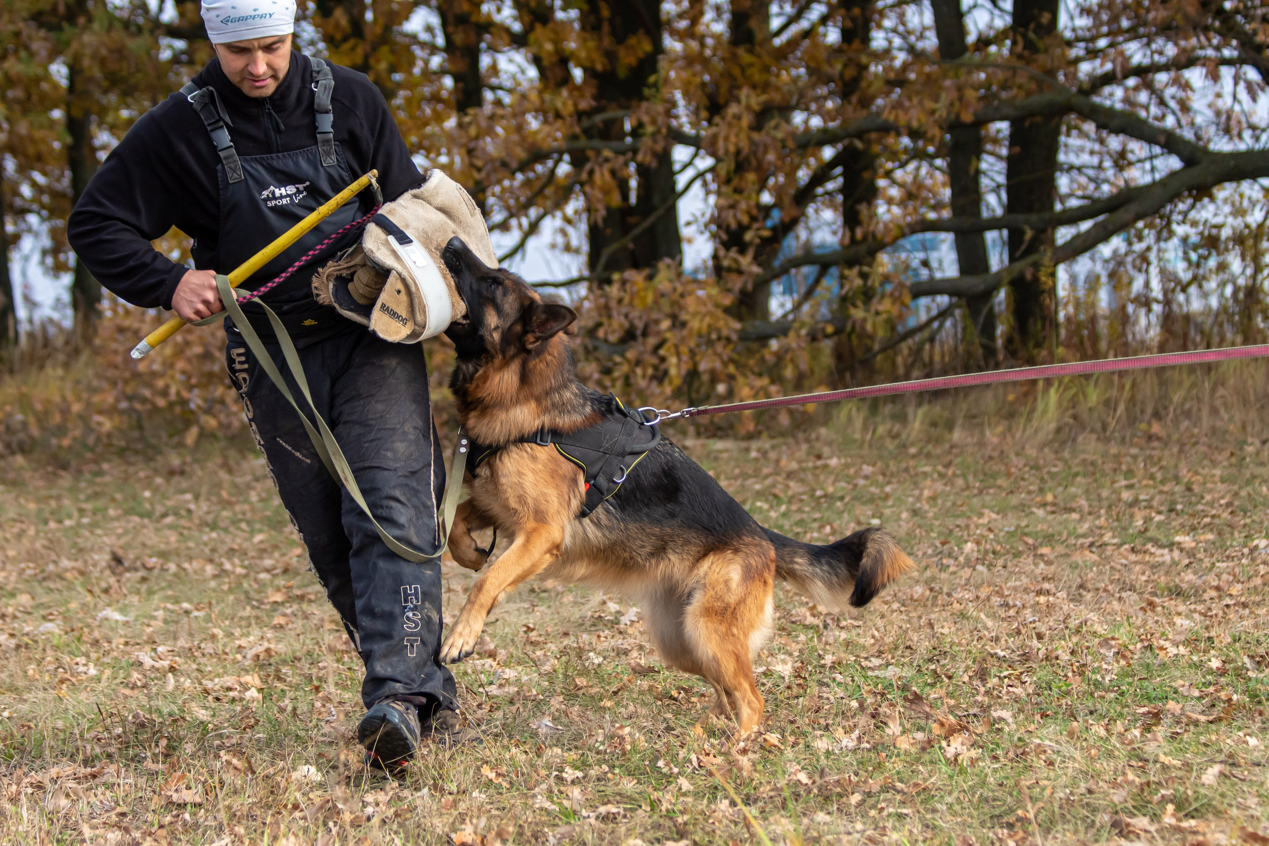 Тренинг защитного раздела. Фотограф анималист — Тула, Москва