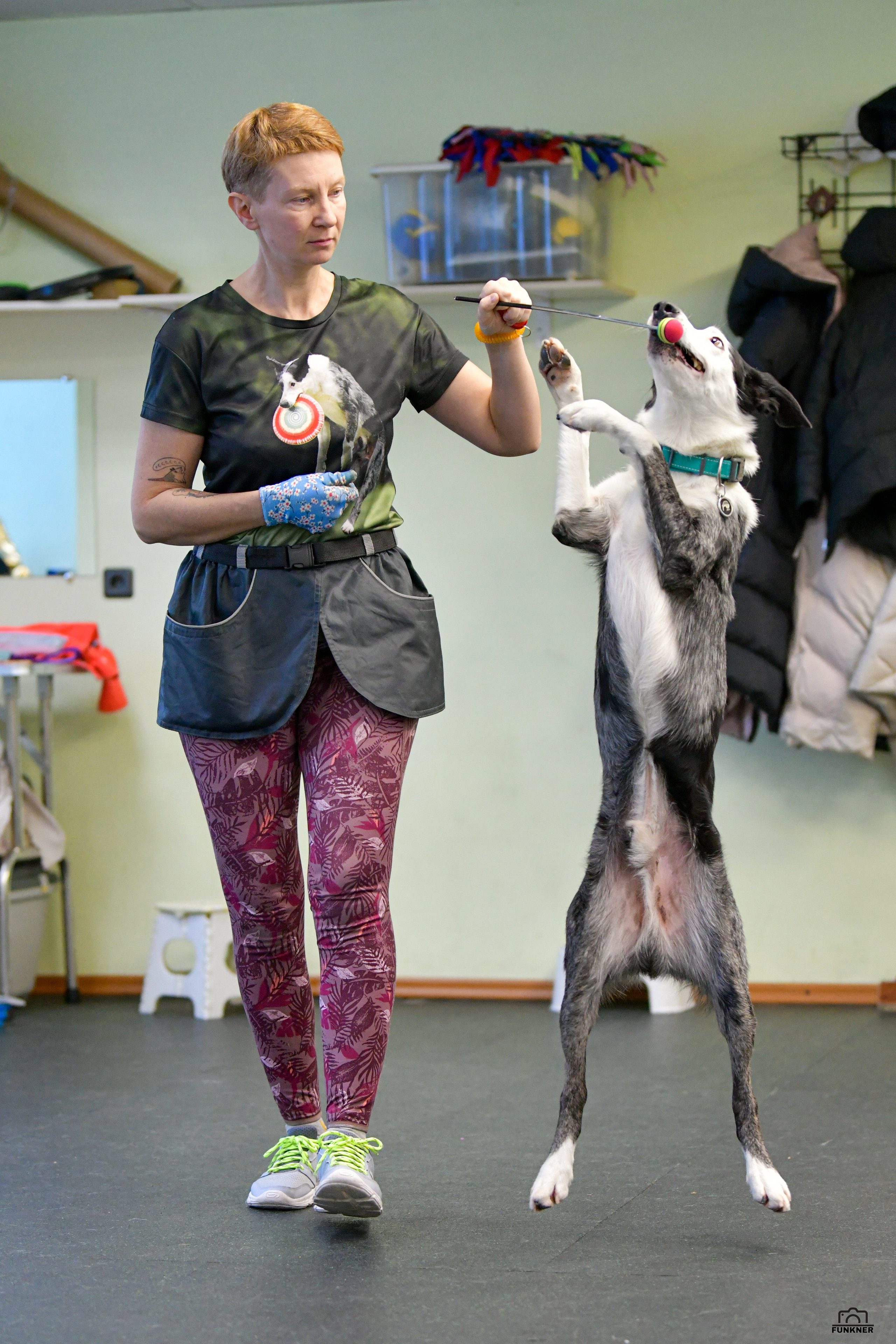 Кинологический клуб «Бодрый хвост». Свой взгляд через объектив