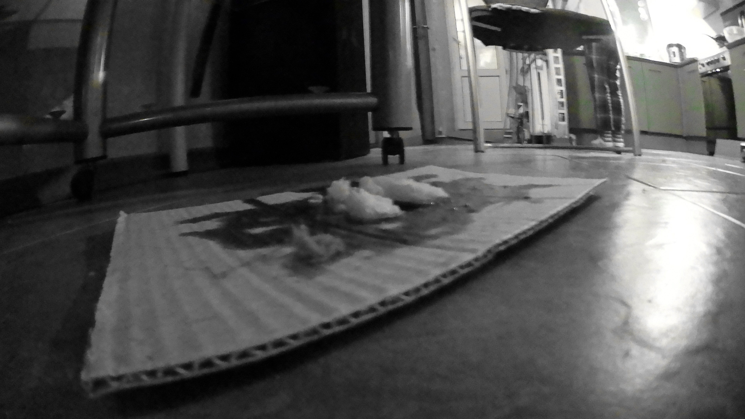 Гости. Fedor Kalinin