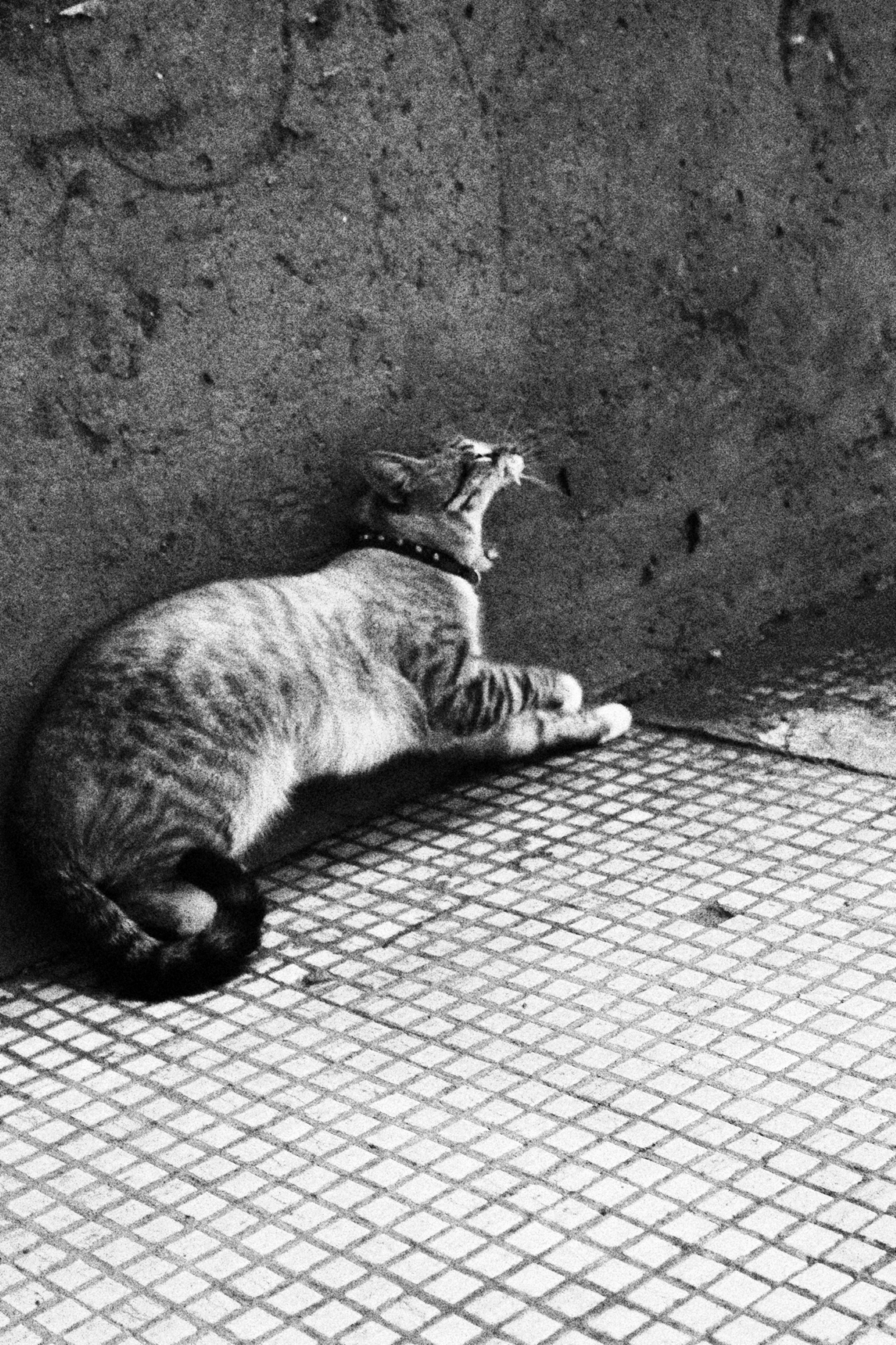 Всё, что я вижу вокруг себя