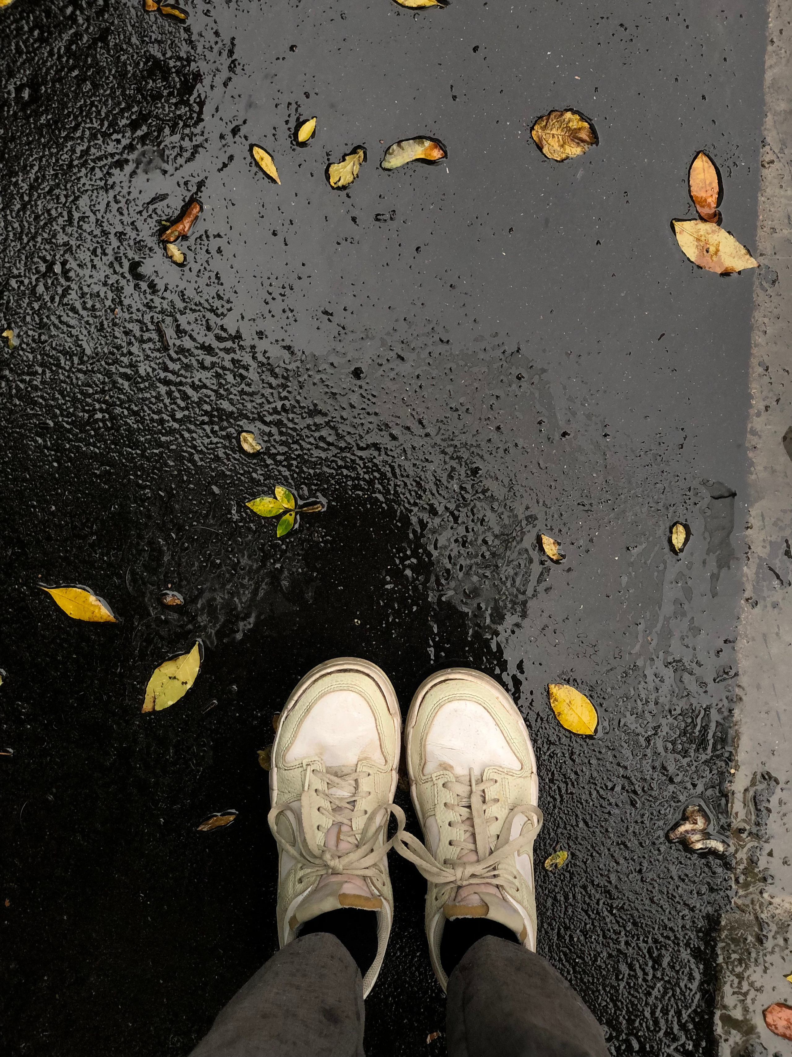 Сентябрь. Семейный, Свадебный фотограф СПБ Питер— Романова Екатерина