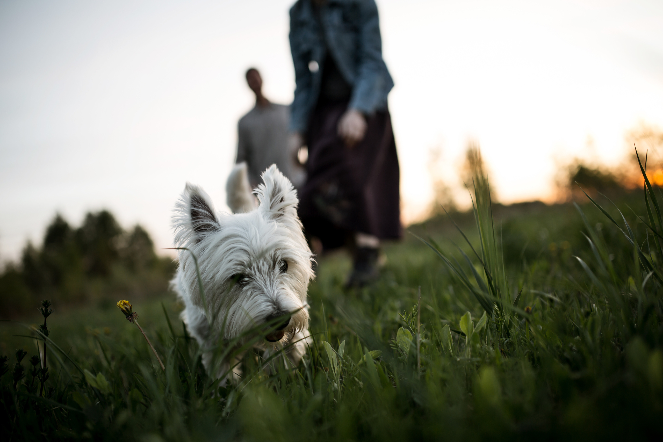 Юра + Настя. Свадебный фотограф Колесников Антон