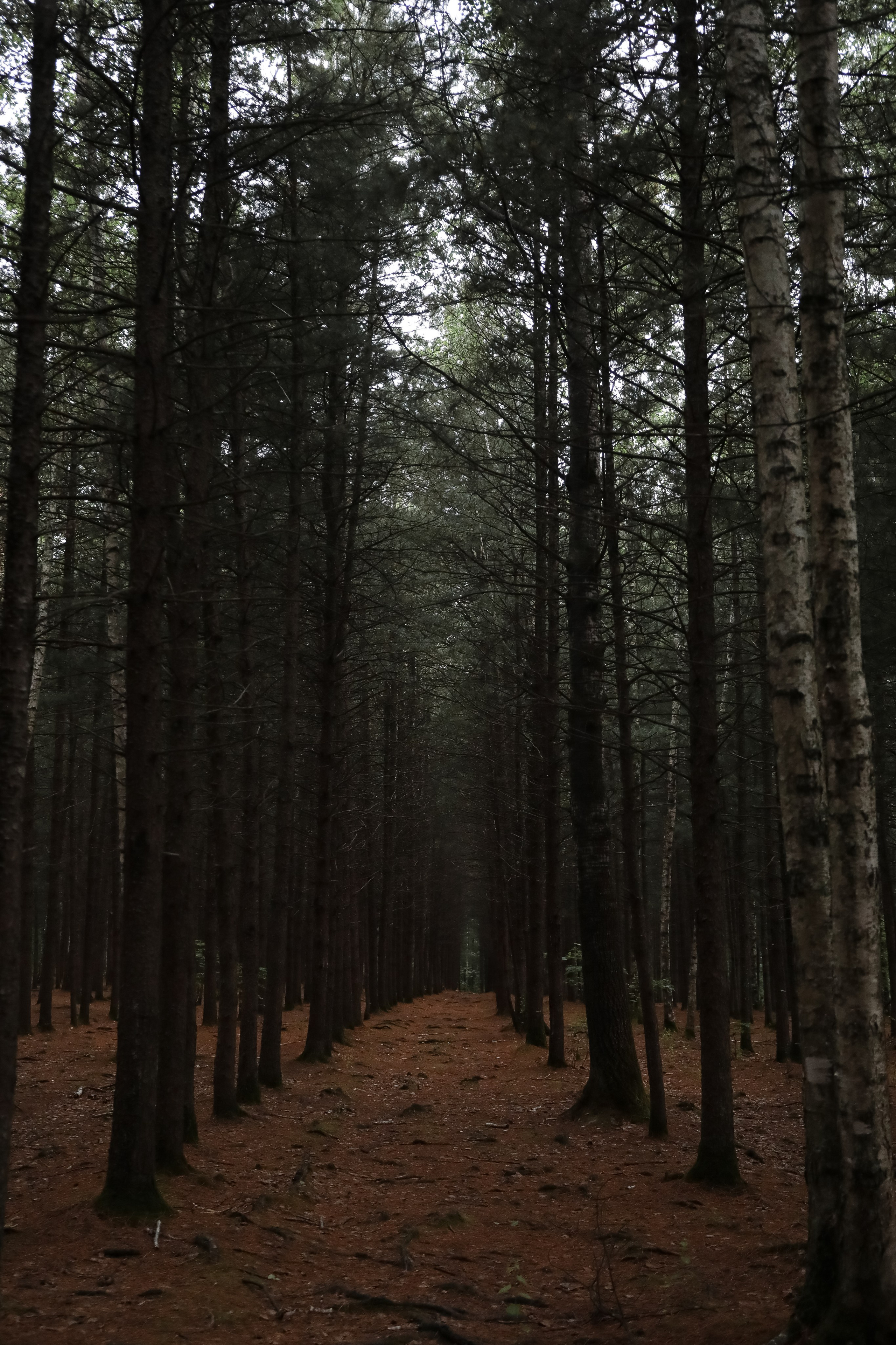 Евгений и Инна. Фотограф г. Хабаровск. Семейные и индивидуальные съёмки