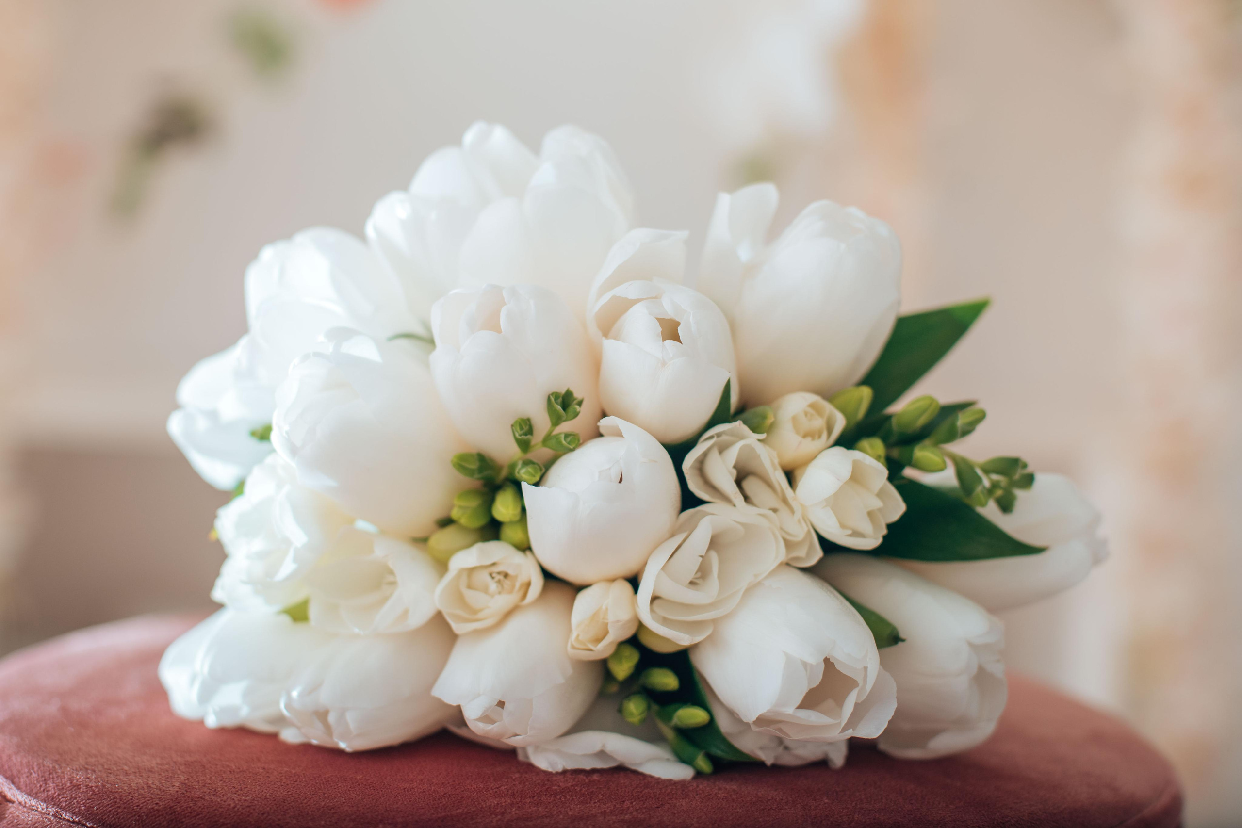 Тимур и Анастасия. Фотограф Алла Елисеева