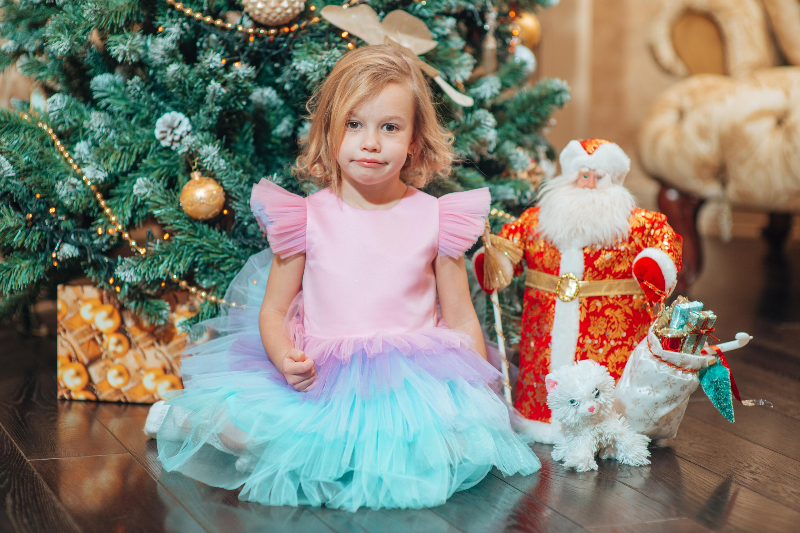 25 Декабря. Фотограф Алла Елисеева