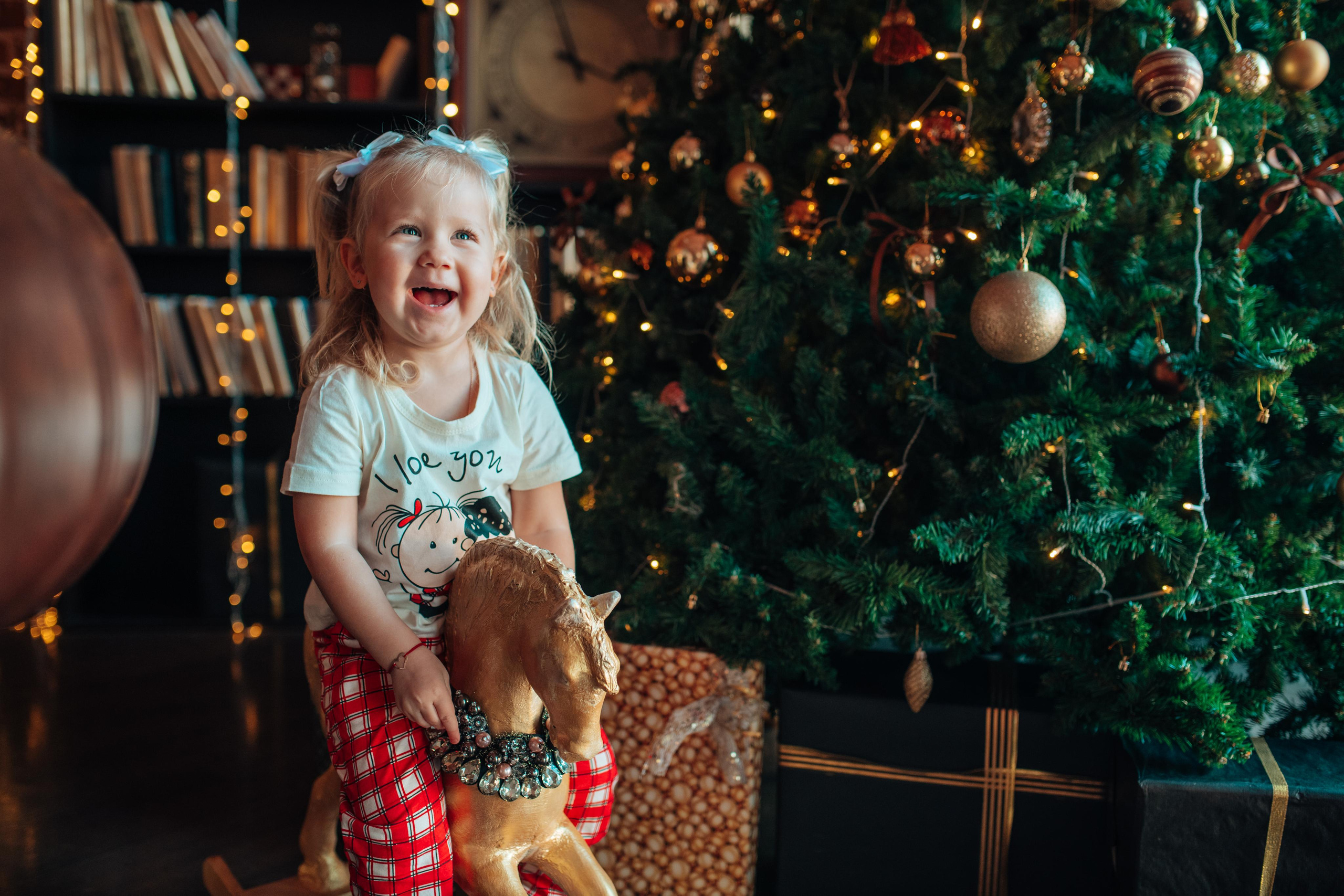 Новый год. Фотограф Алла Елисеева