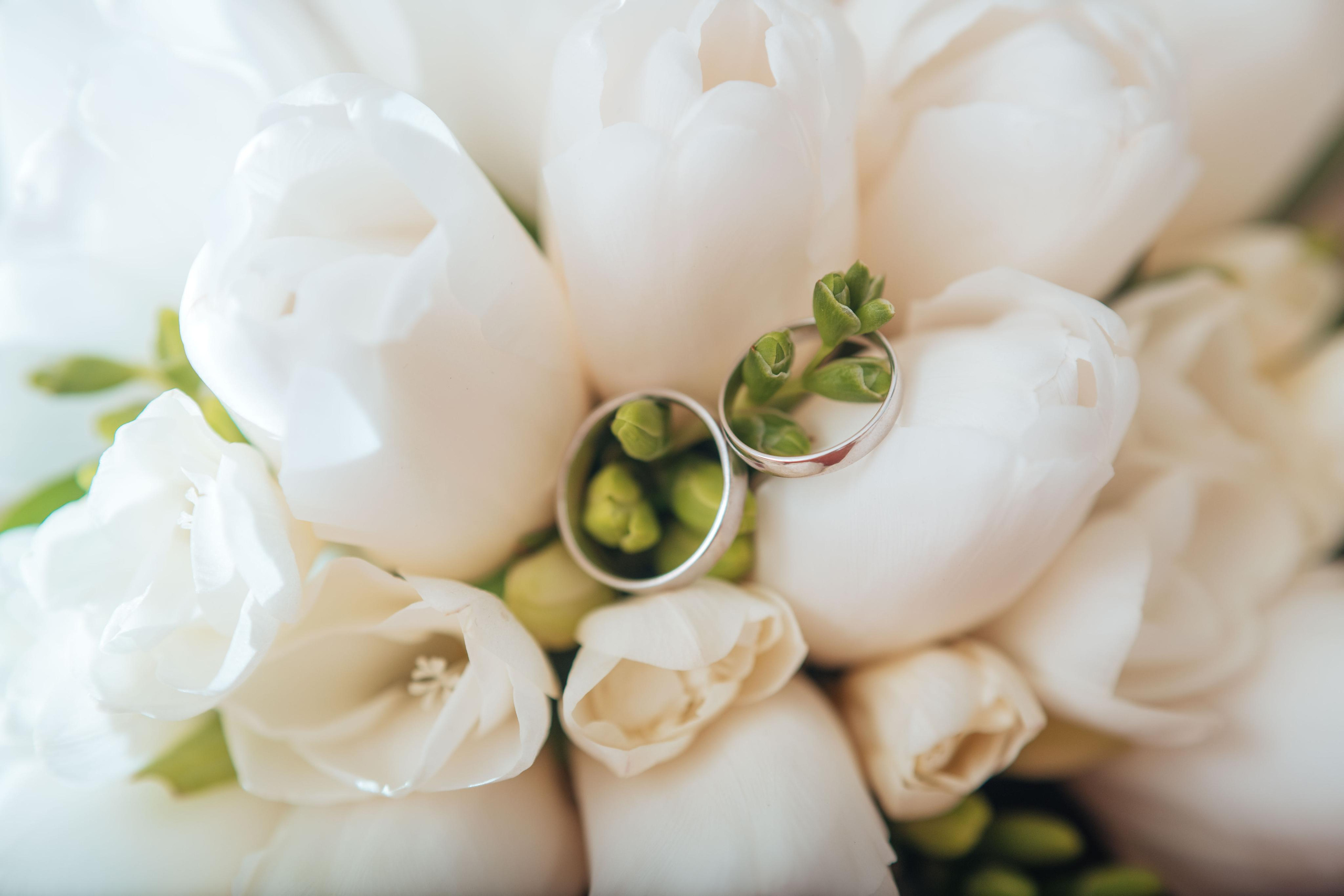 Тимур и Анастасия. Фотограф Алла Елисеева