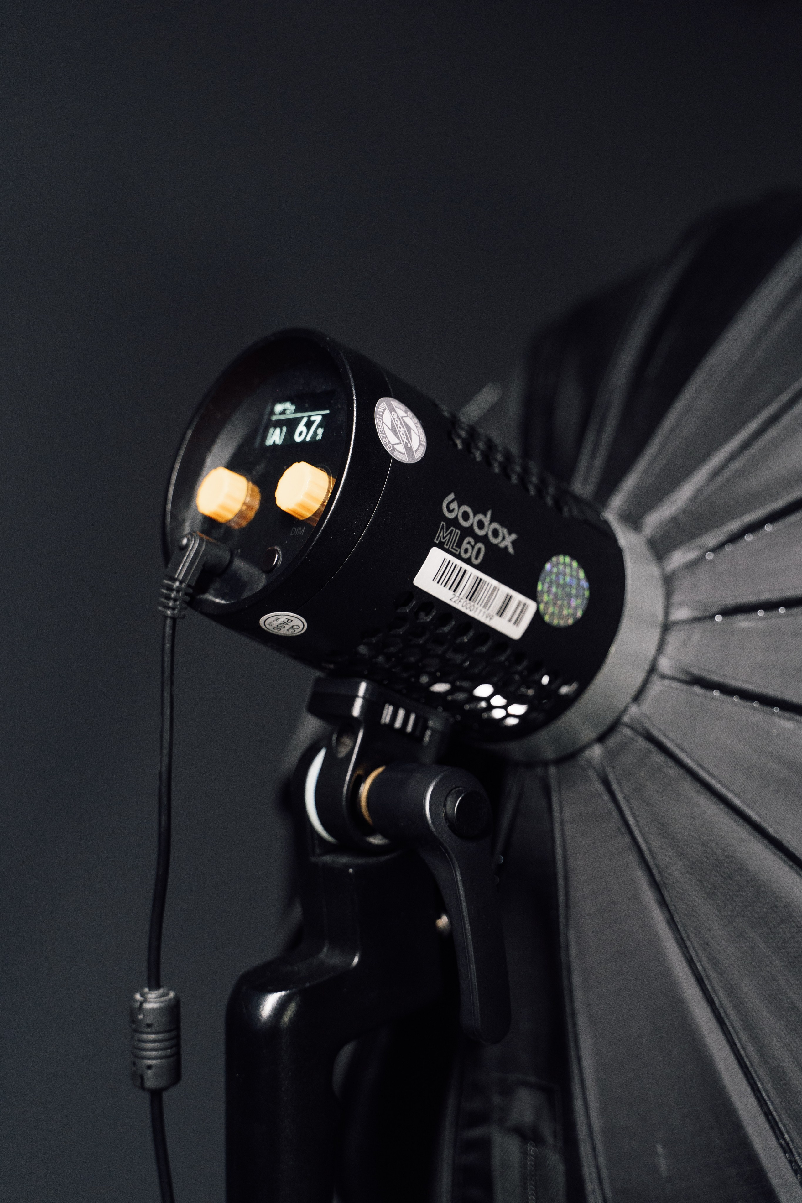 Интерьерная. Kamelia Candy фотограф Самара/ Москва