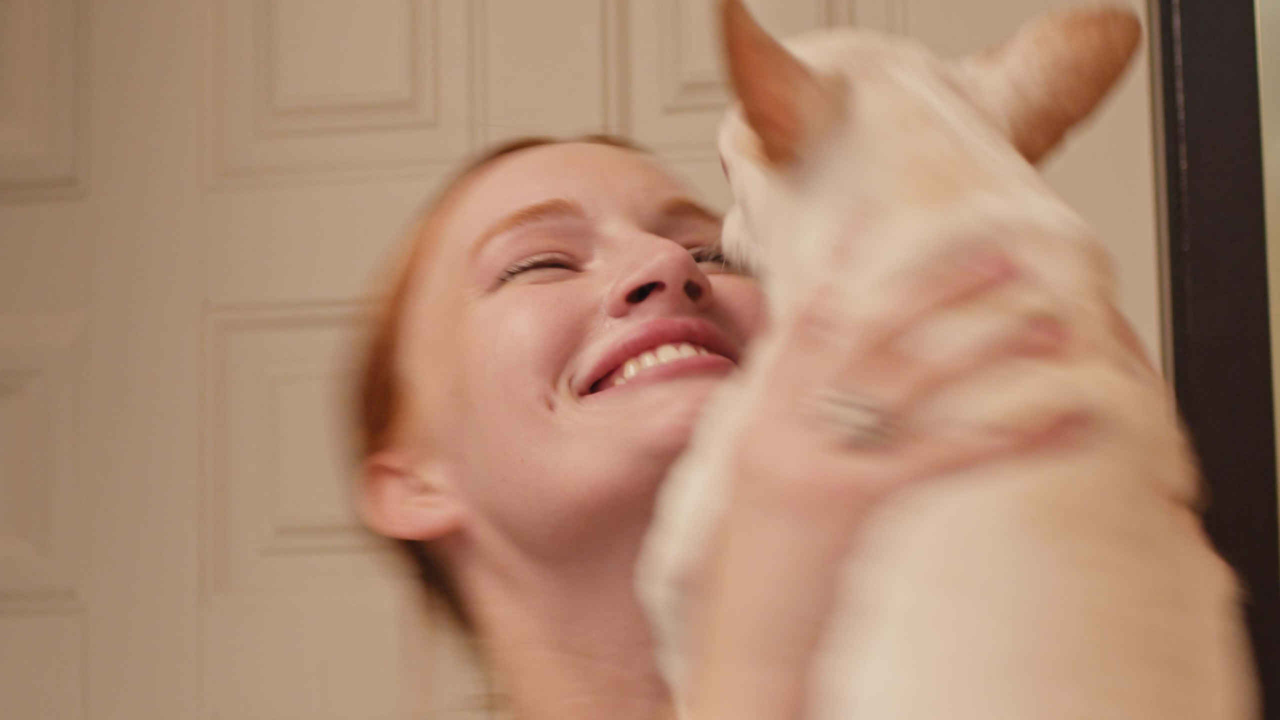 Короткометражный фильм о четвероногом друге. Цветокоррекция видео