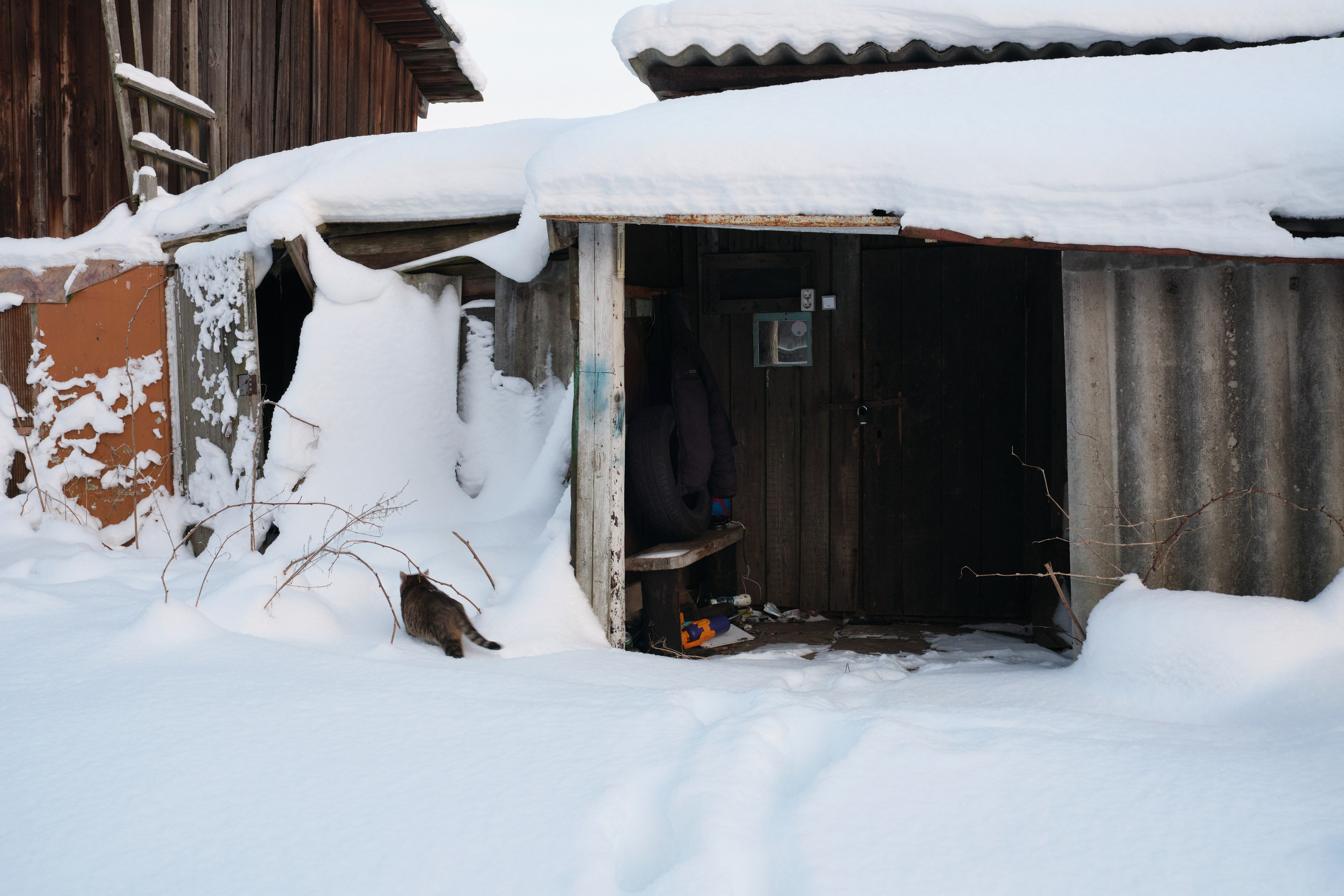 Фотографии Шлиссельбурга | Филипп Линзин. Репортажный и портретный фотограф в Санкт-Петербурге Филипп Линзин