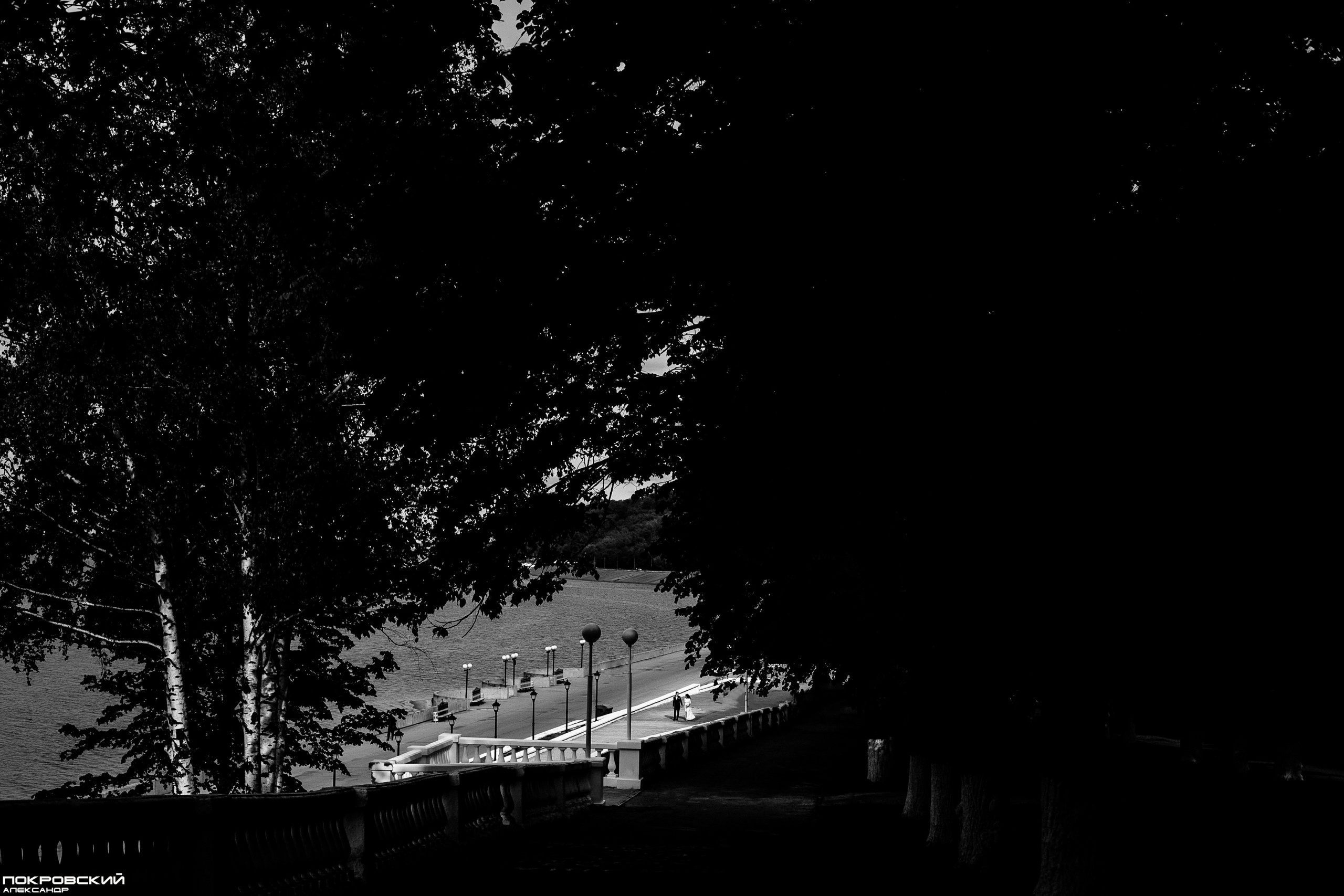 Свадебный и репортажный фотограф в Чебоксарах Покровский Александр