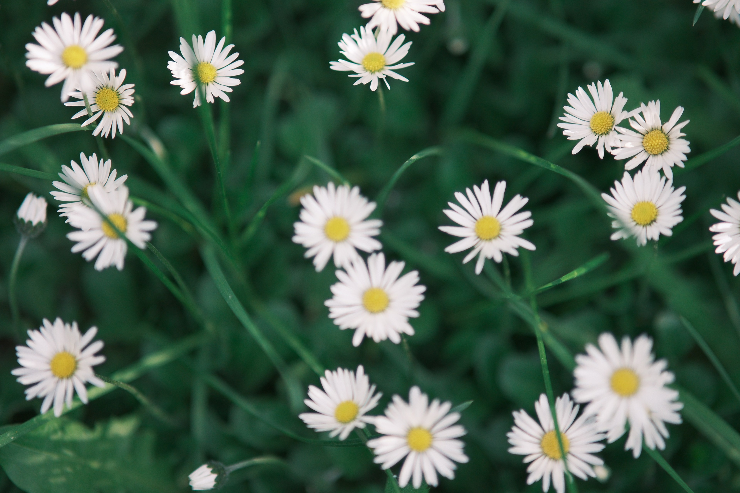 Фотограф Москва. Фотограф и художник в Москве Евгения Нюнина
