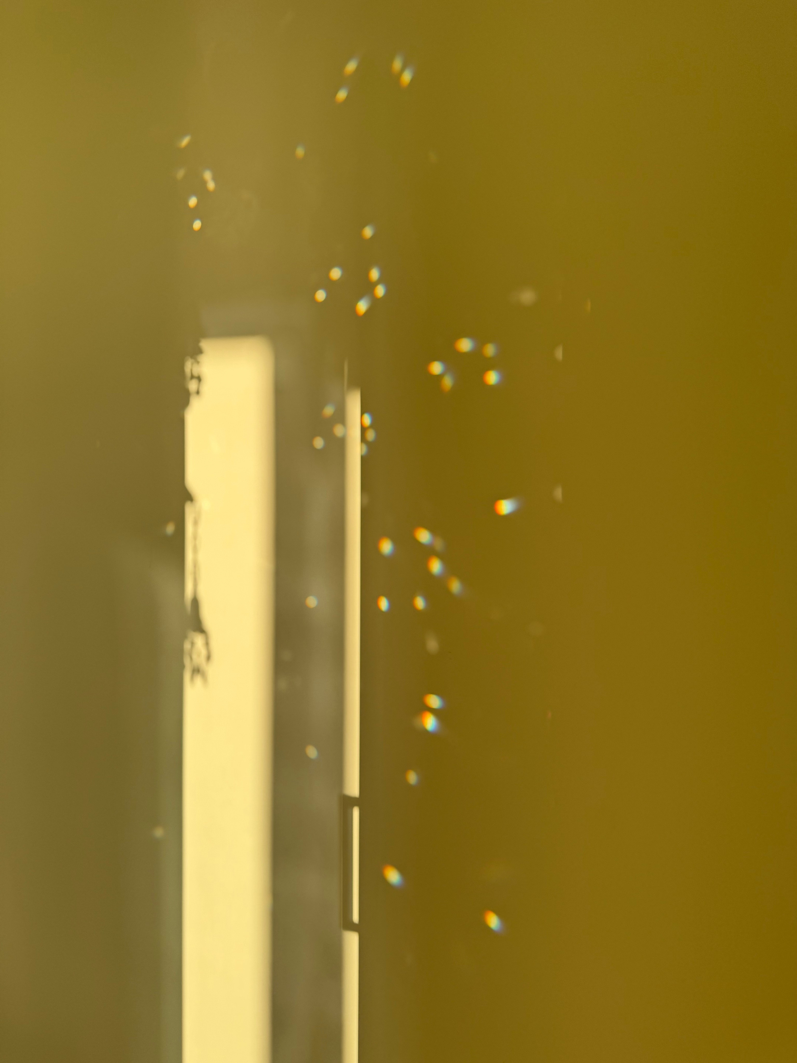 Фотограф Москва. Фотограф и художник в Москве Евгения Нюнина